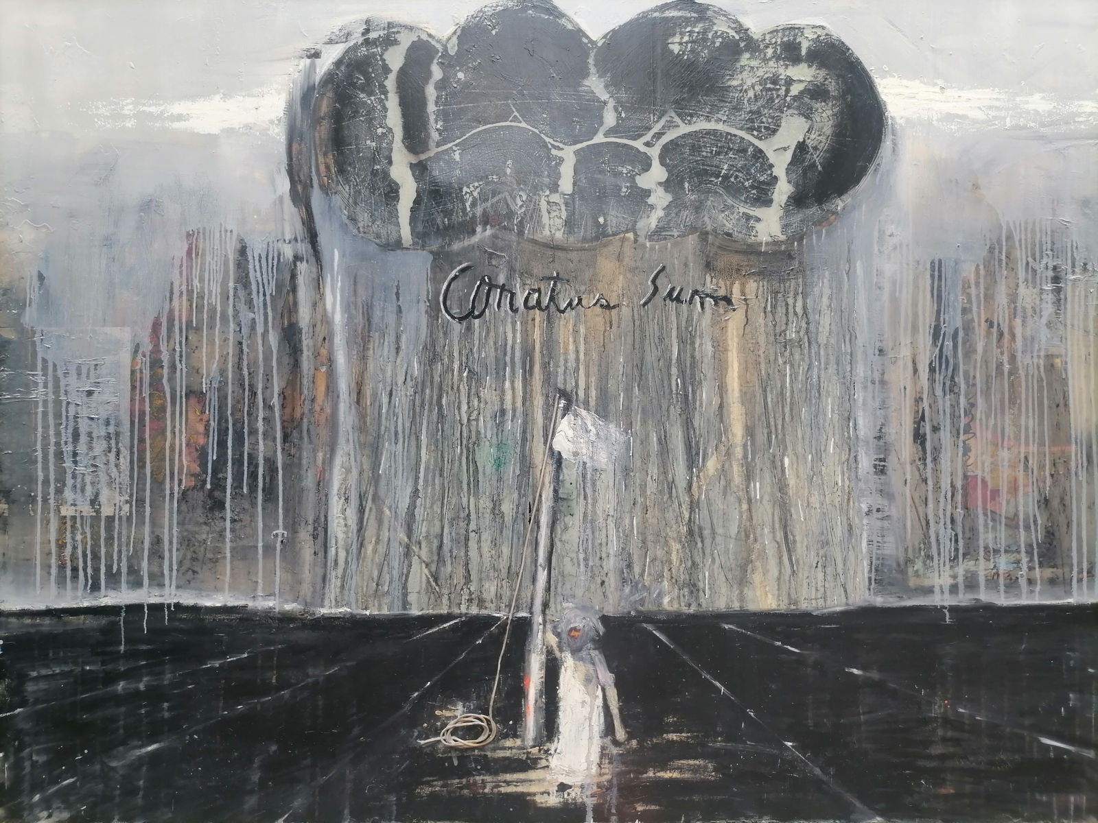 Rodrigo Alvarado, Conatus Sum, 2024