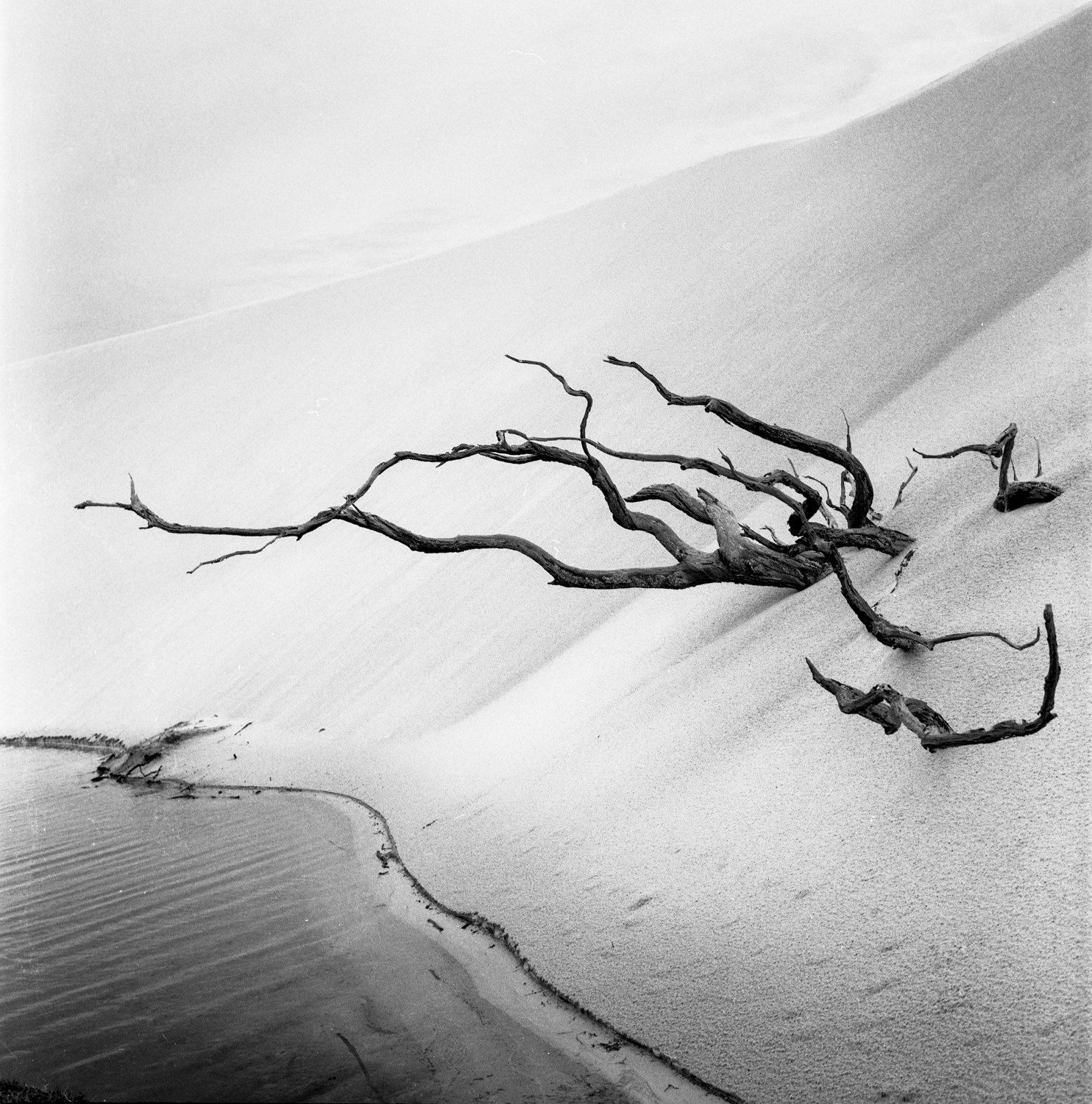 Ronald Patrick, Bedsheets of Maranhao-282, 2013