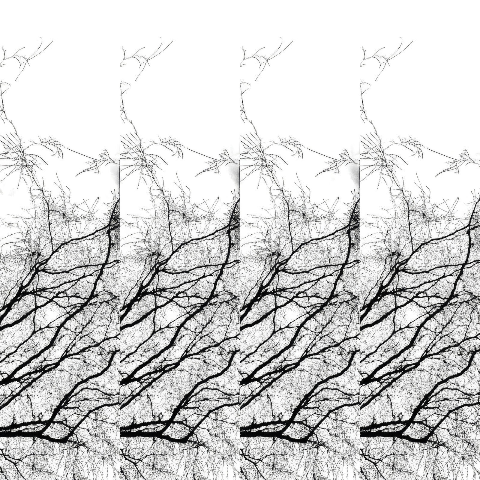 Teresa Cruz Elton, Dark series Nro 342, 2022