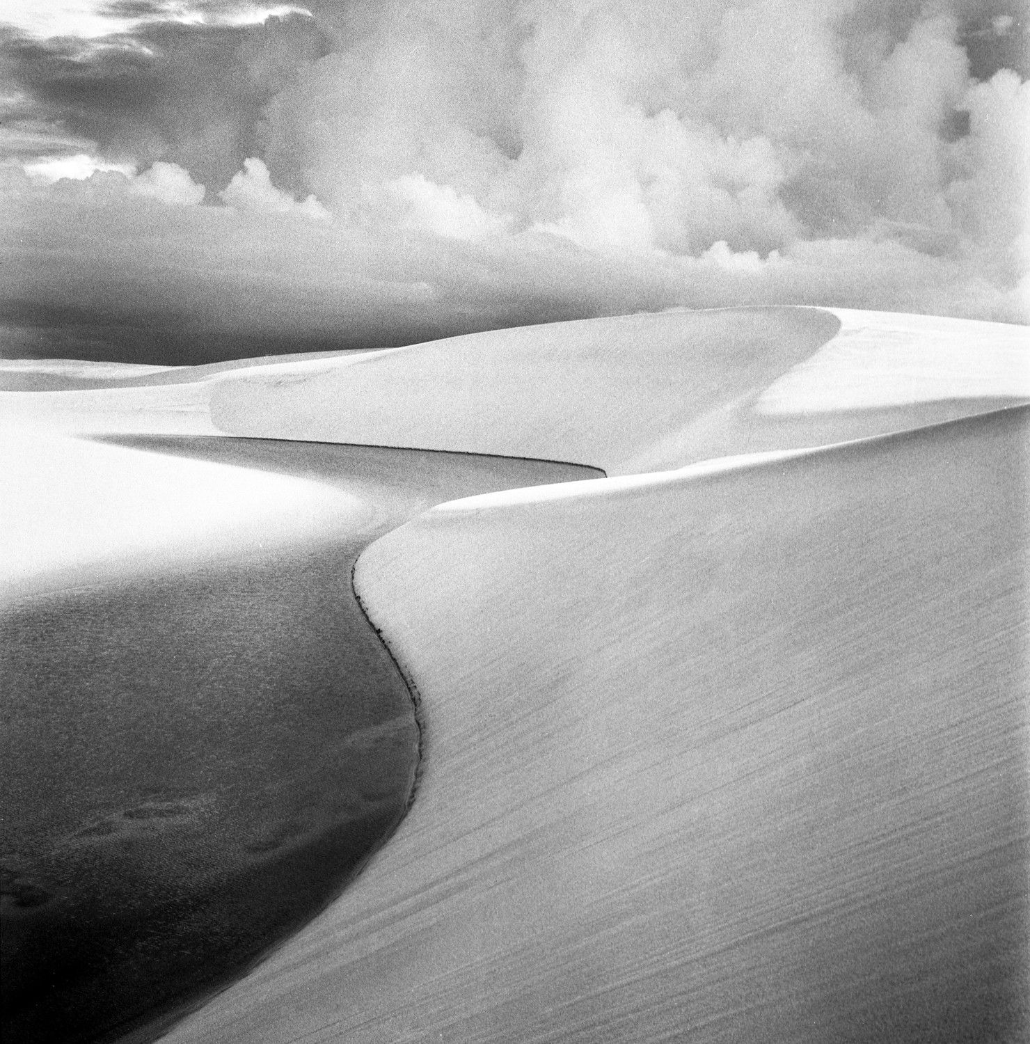 Ronald Patrick, Bedsheets of Maranhao-726, 2013