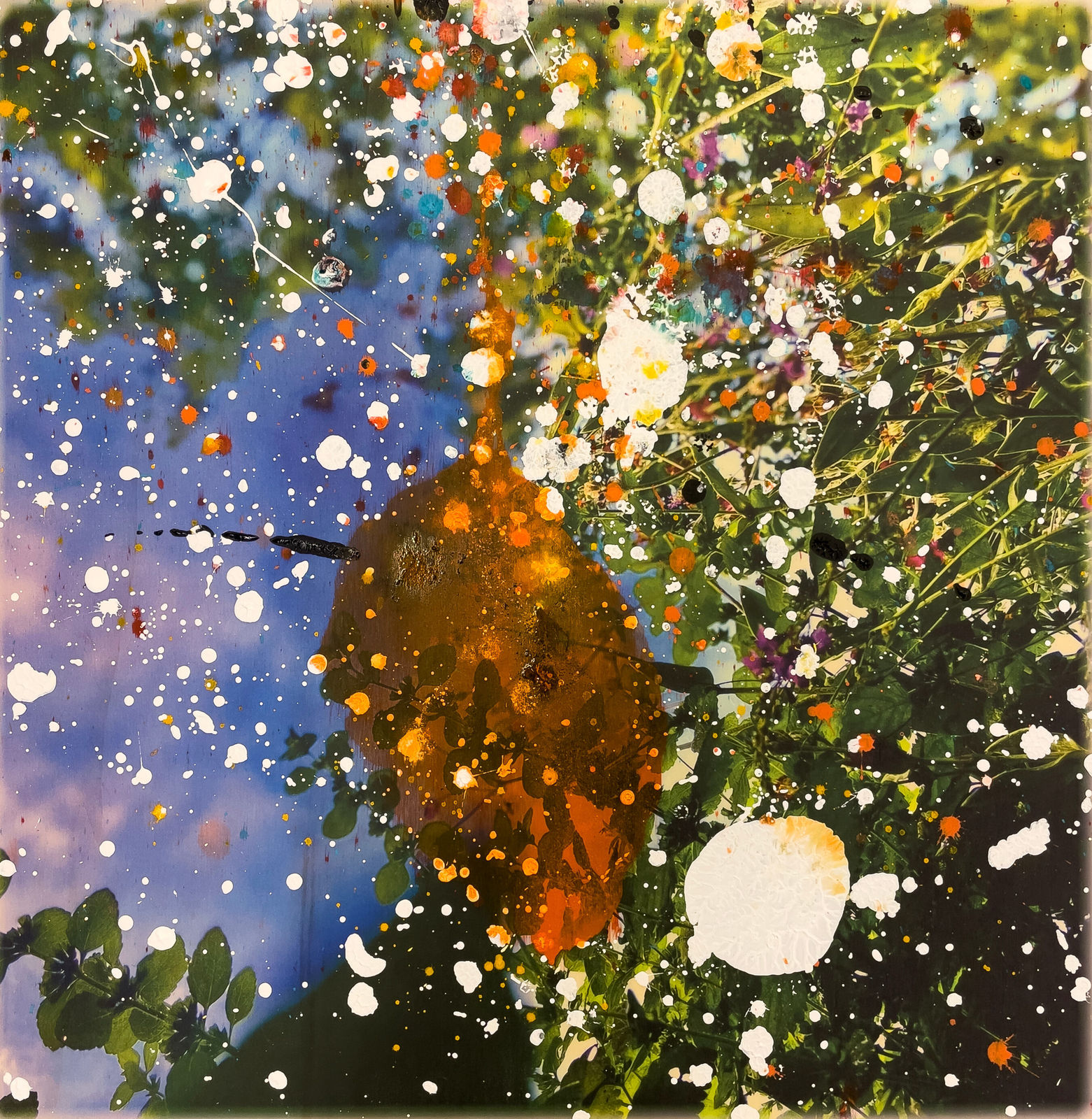 Mota Montero, Natura Nro 003, 2023