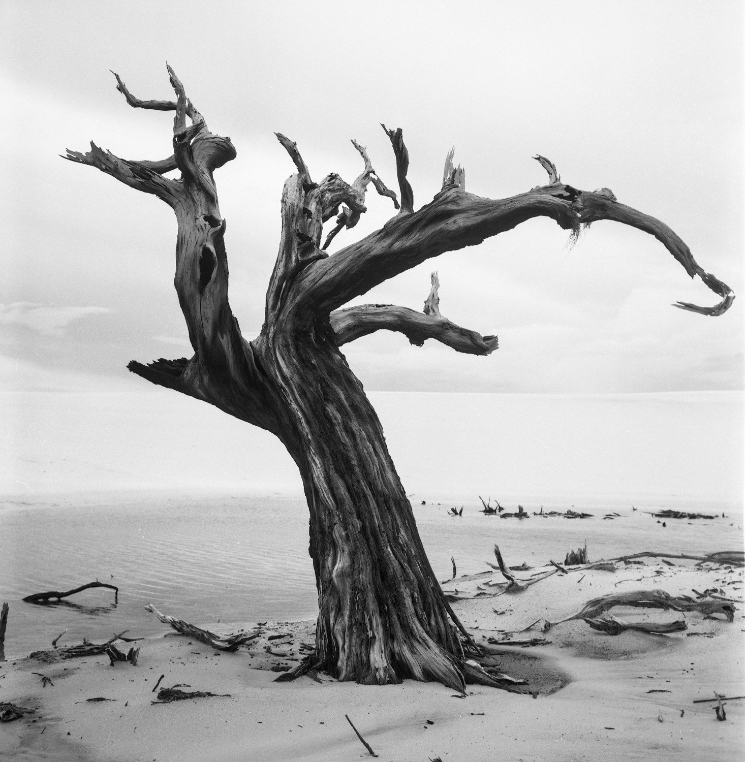 Ronald Patrick, Bedsheets of Maranhao-266, 2013