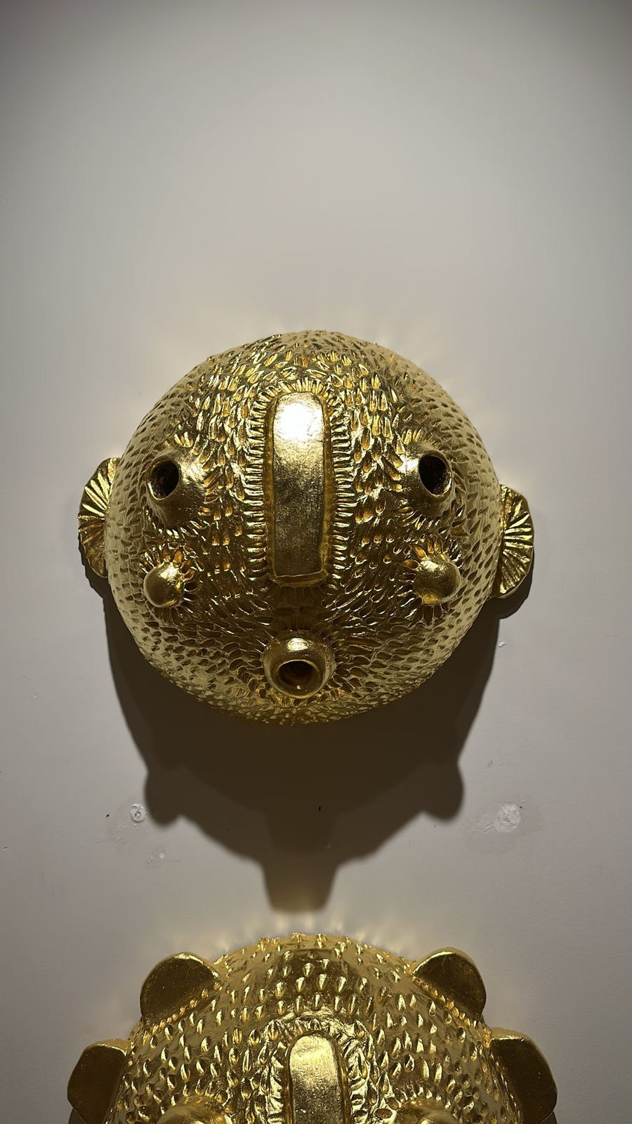 Roosje van Donselaar, Fish Eye