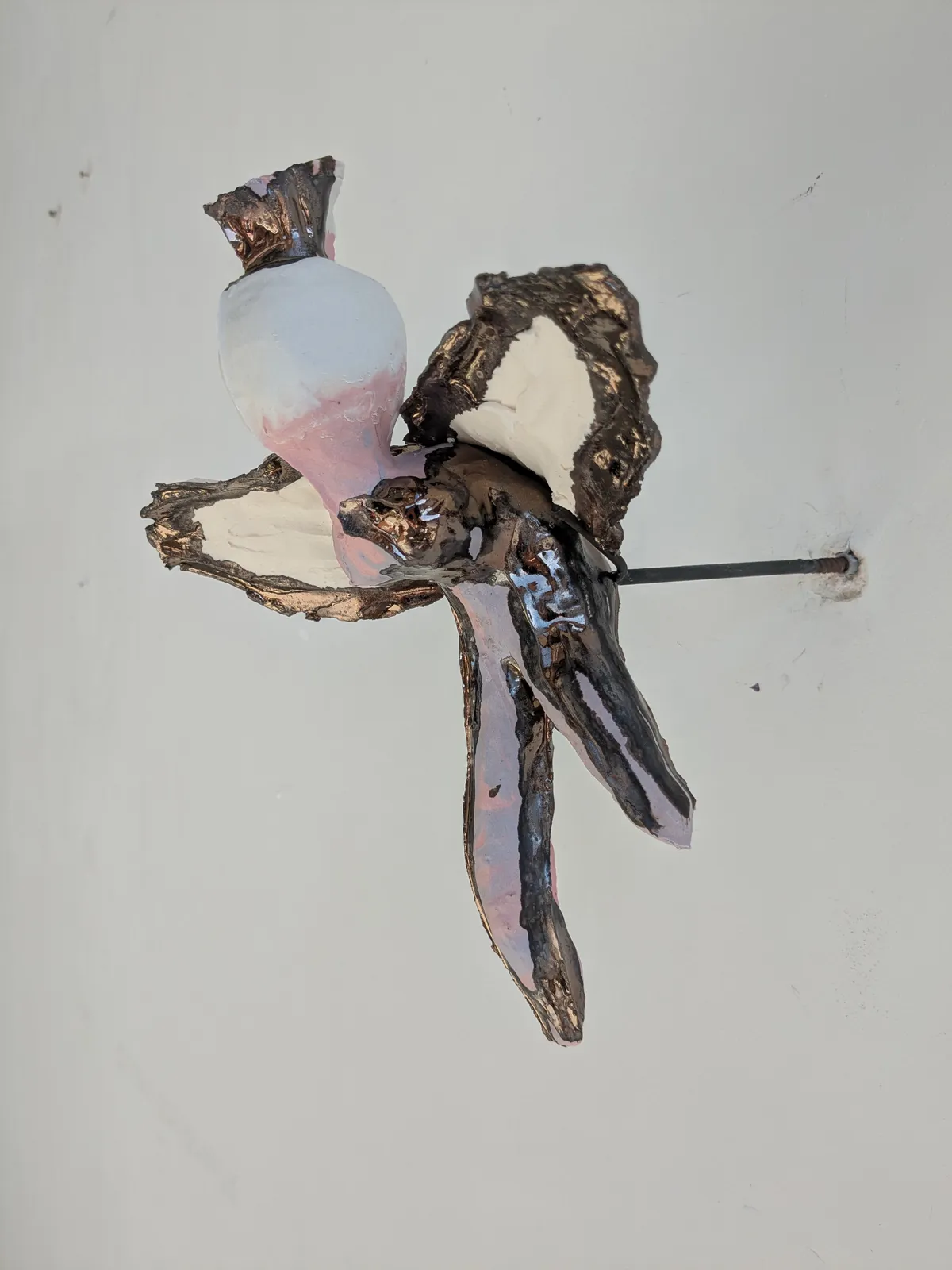 Marieke Bolhuis, Sticky Fly, 2025