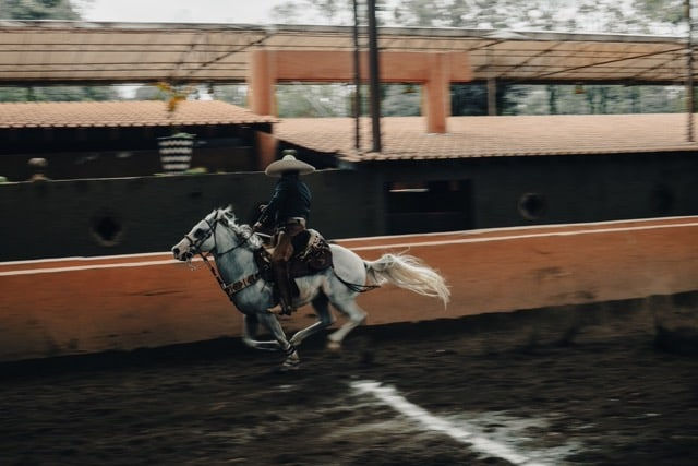 Cooper Seykens, Lasso I