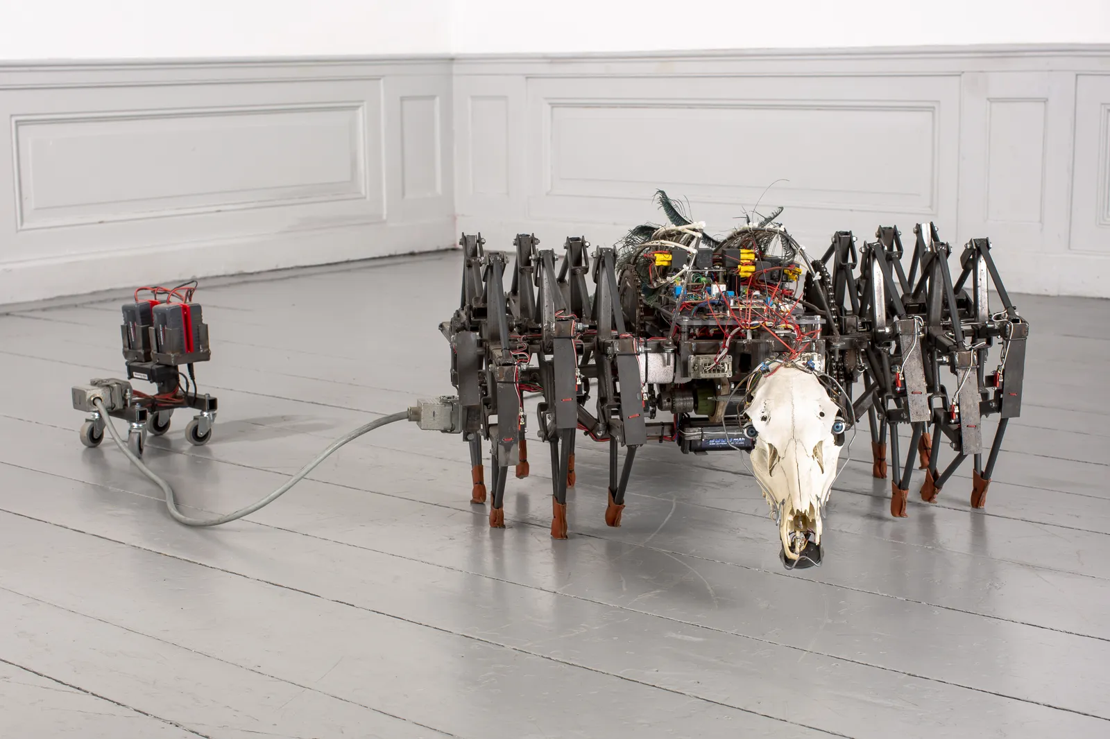 Jelle Korevaar, AS, 2018