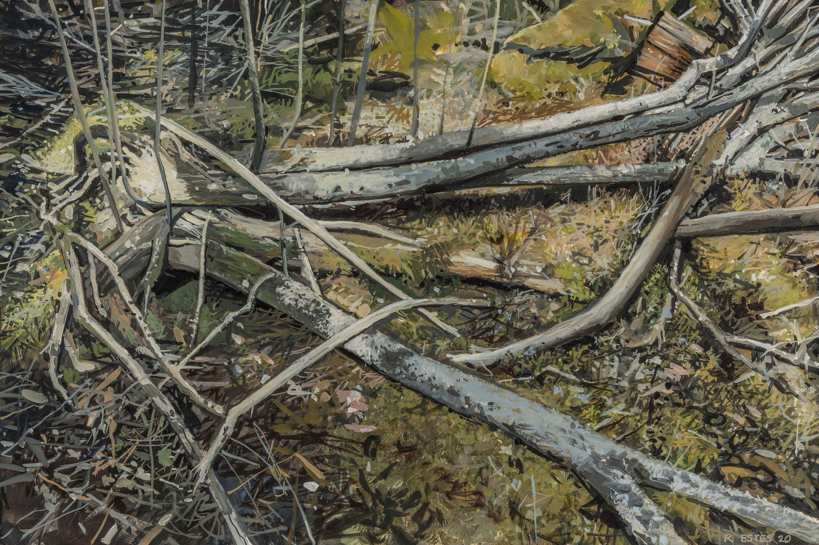 Richard Estes, Acadia Park V, 2020