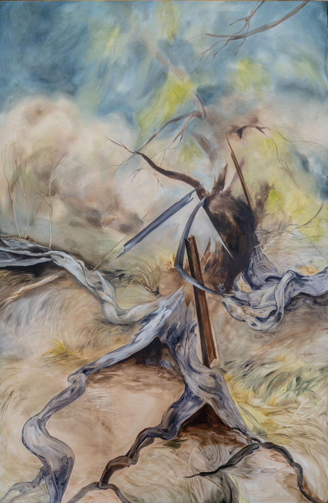 Alina Zamanova, Enforced disappearance, 2024