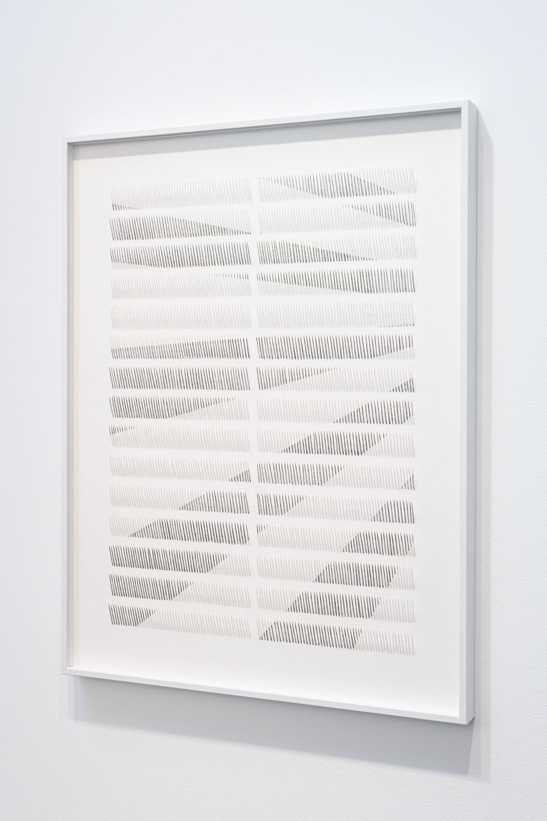 Zaida Oenema, Field (Shadows) #1, 2020