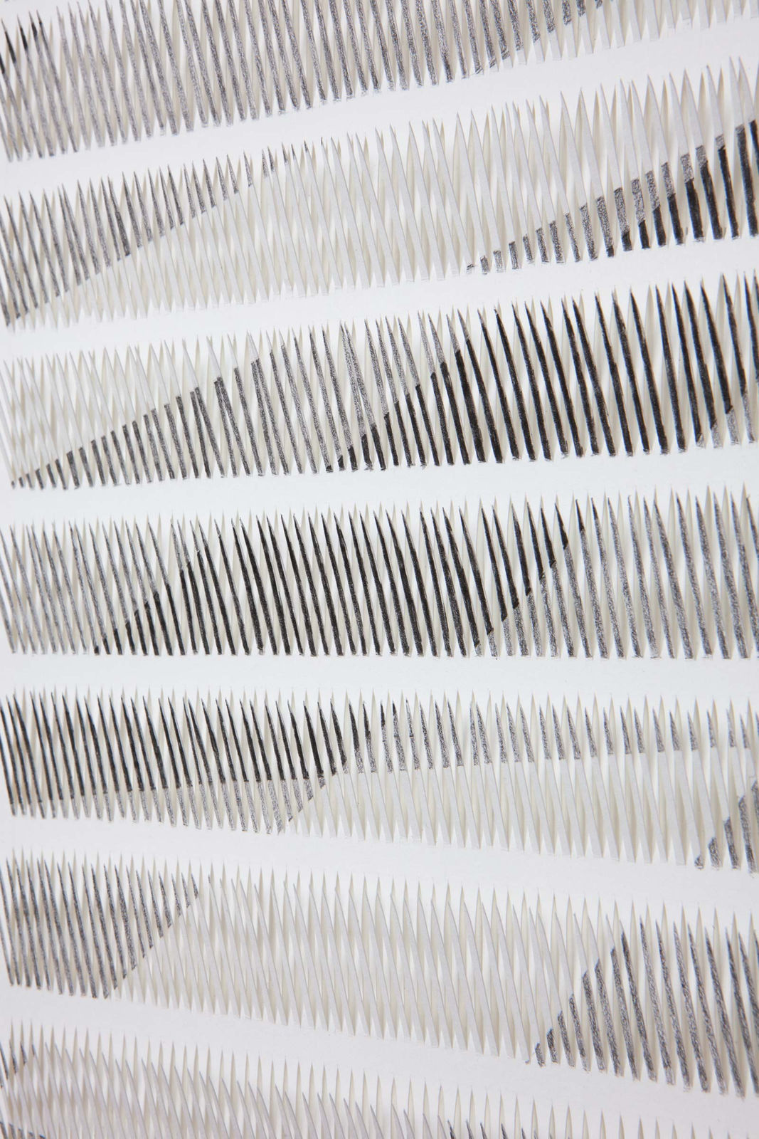 Zaida Oenema, Field (Shadows) #3, 2020