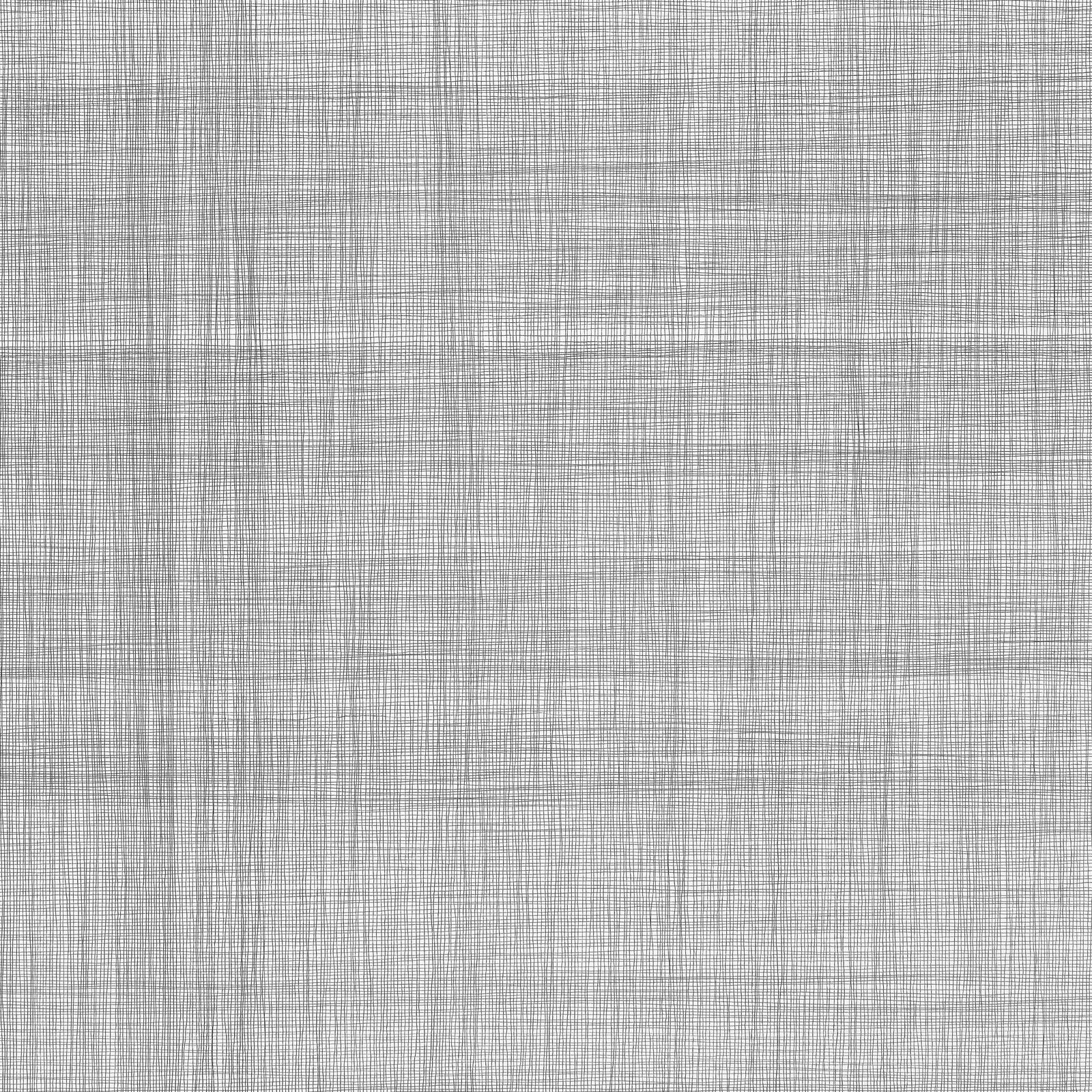 Jane Springwater, Lineation, 2024