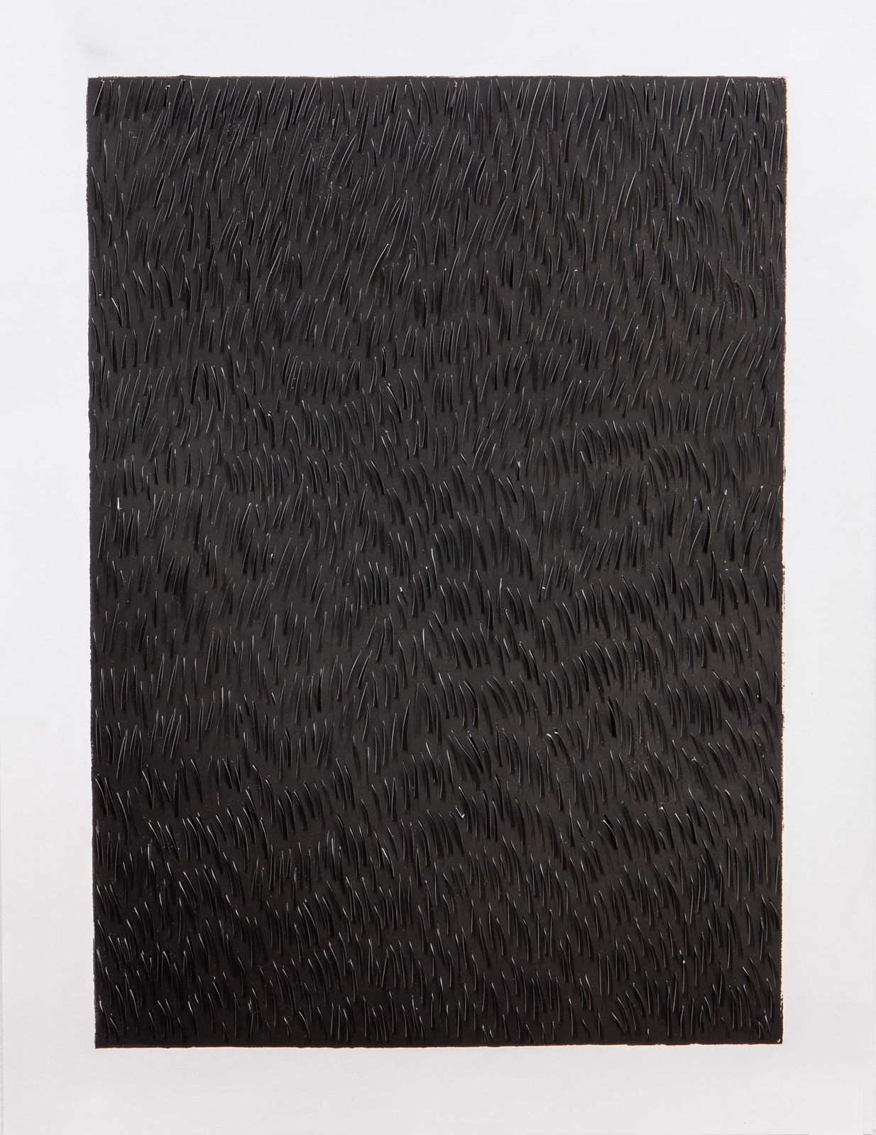 Zaida Oenema, Field Monochrome (Black/Black), 2018