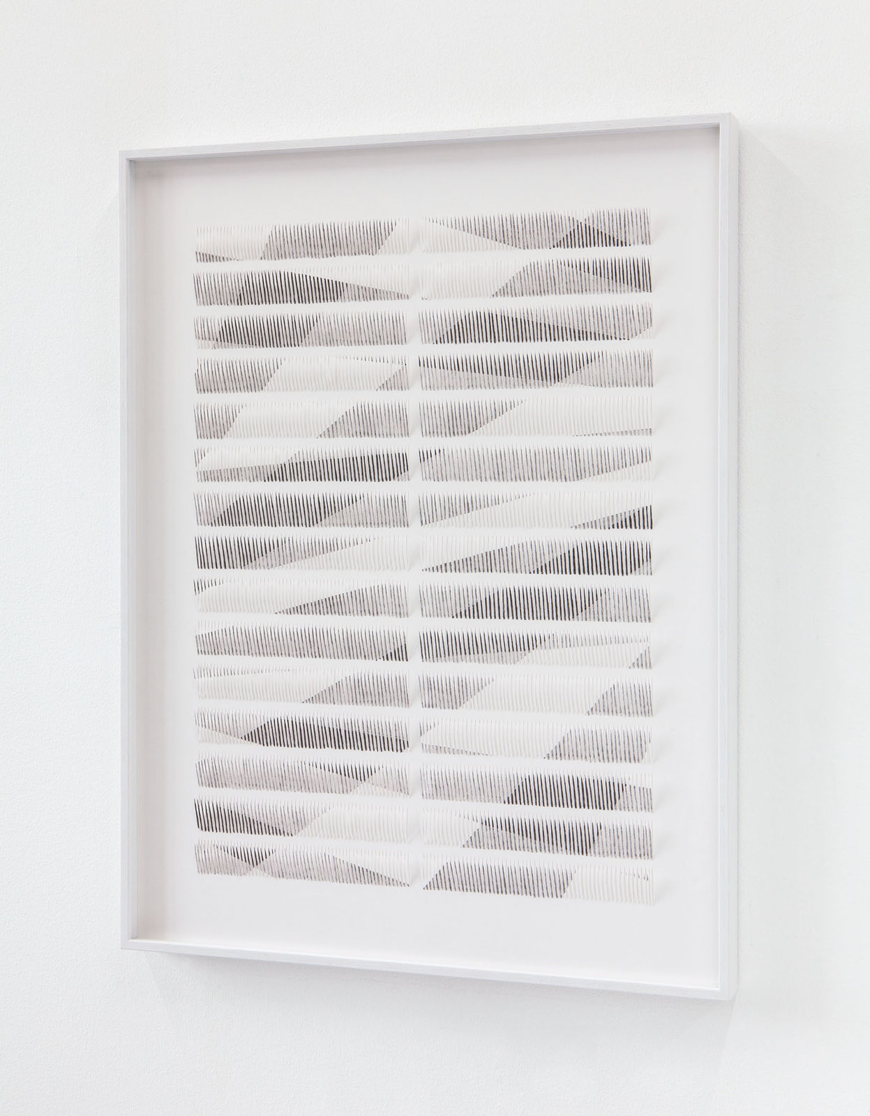 Zaida Oenema, Field (Shadows) #3, 2020