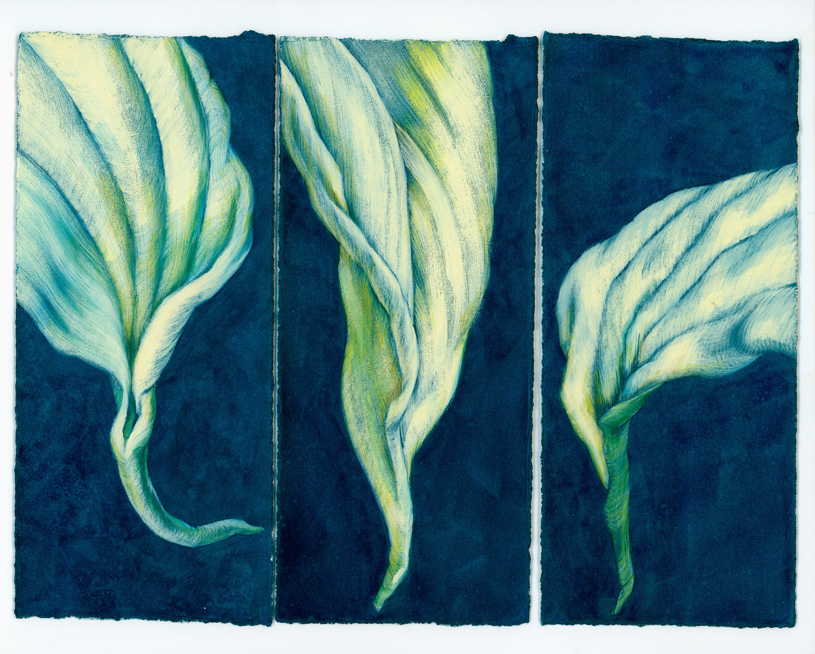 Kim Spooner, We all drifted, 2025