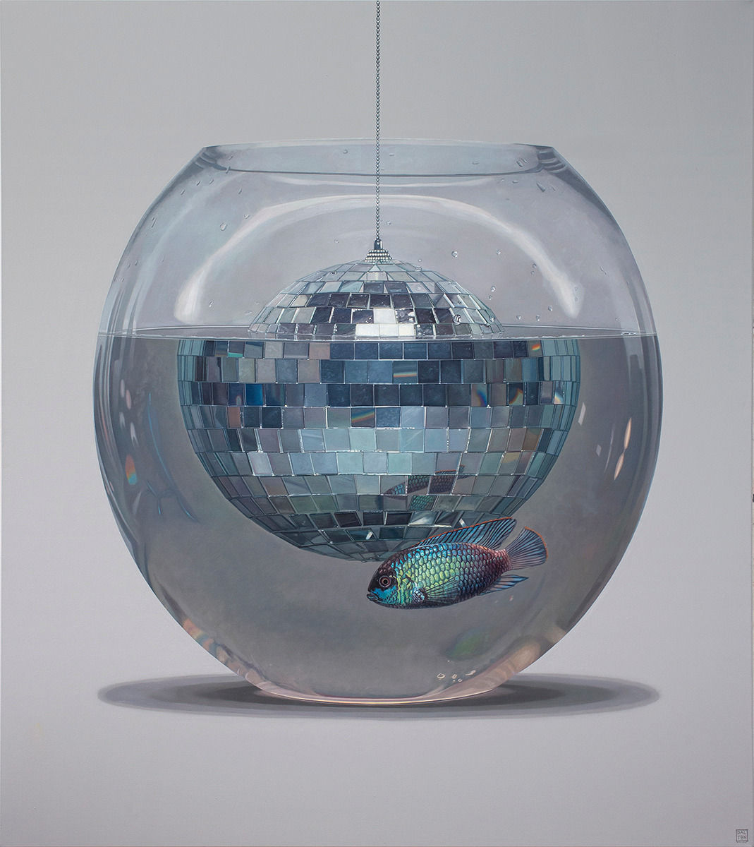 Jonathan Dalton, DISCO!, 2023