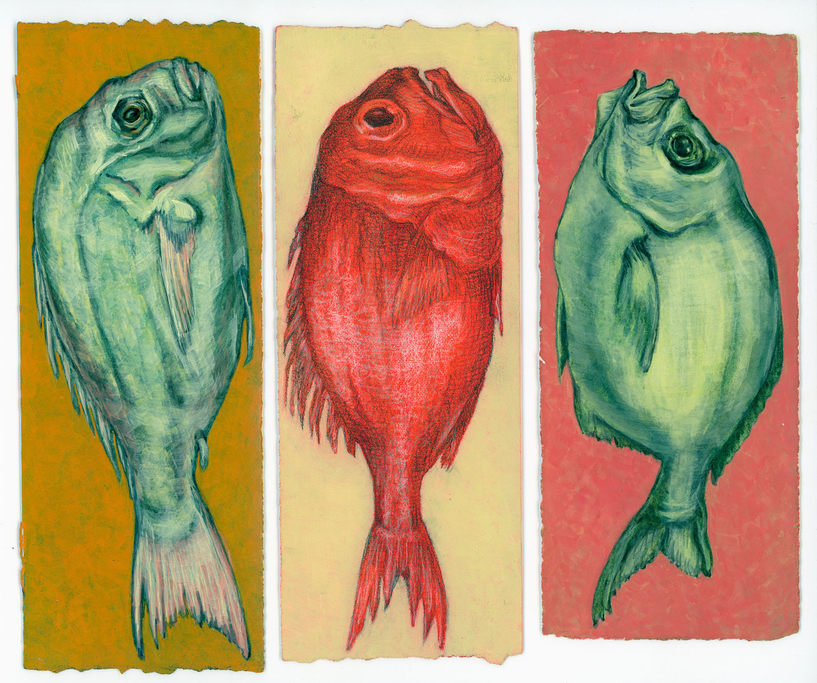 Kim Spooner, The ritual of fishing, 2025