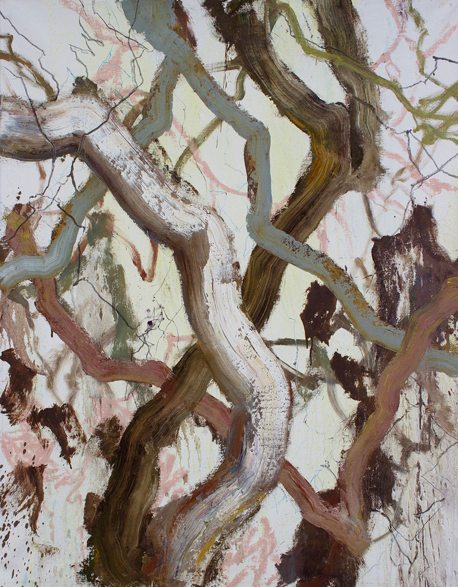 Brett McMahon, Tree Study 6, 2025