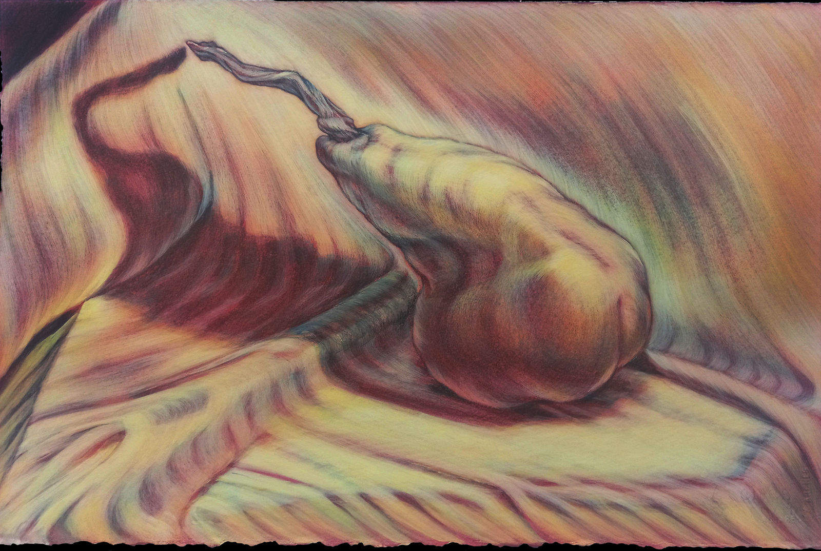 Kim Spooner, Phenomenon i, 2025