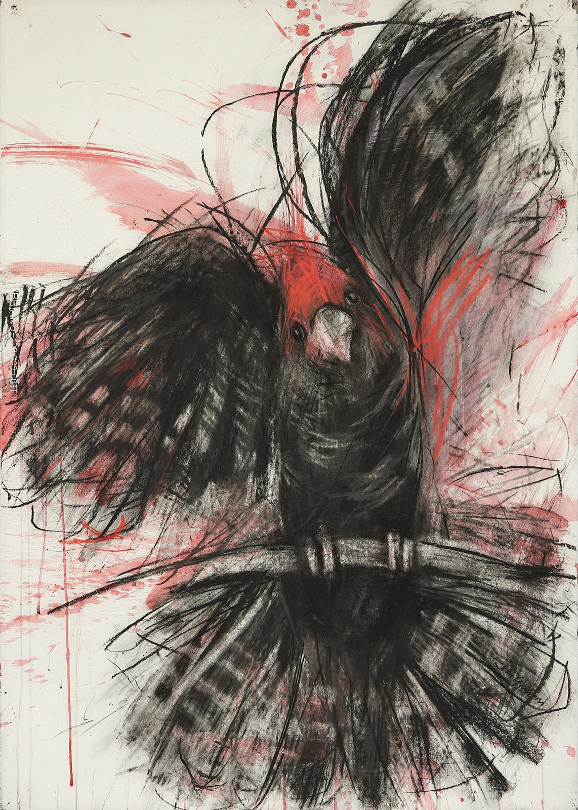 Jody Graham, Show-Stopper, 2024