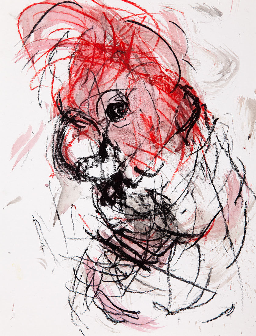 Jody Graham, Glove drawing 12 - Gang-Gang Cockatoo, 2024