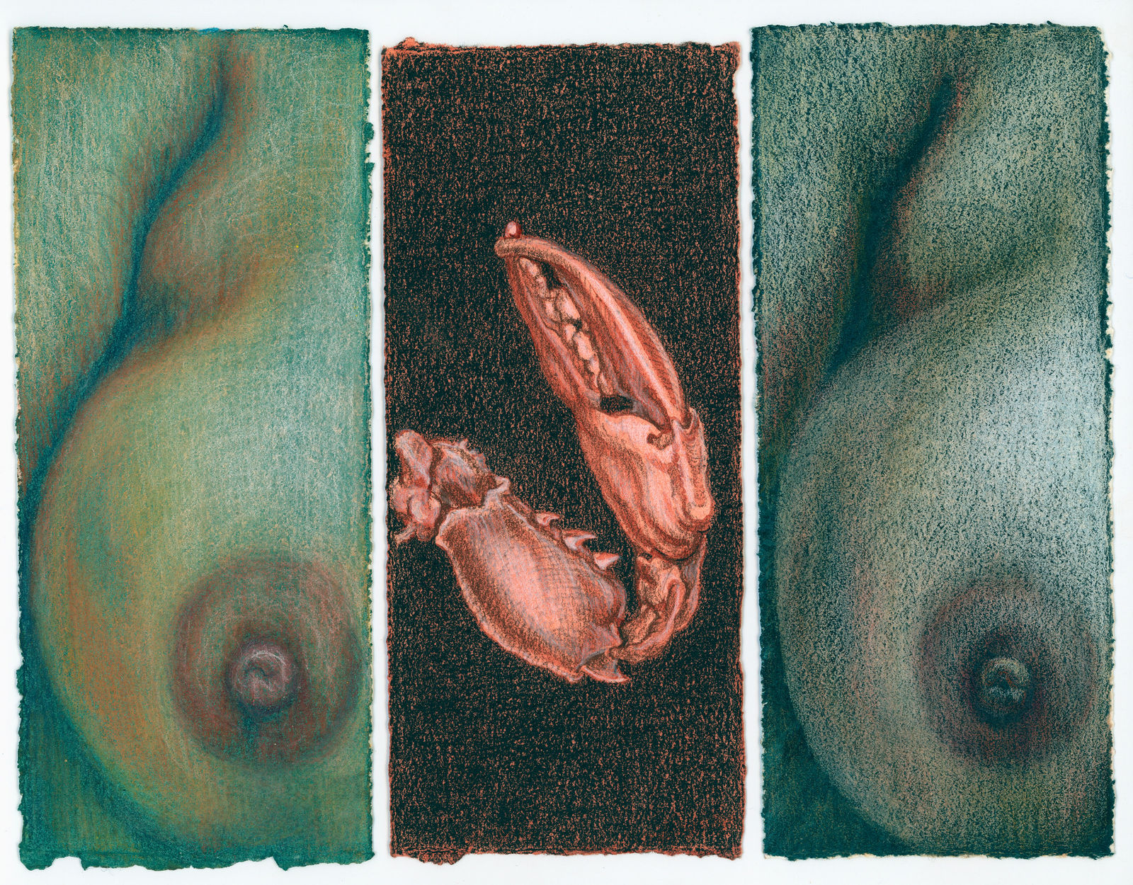 Kim Spooner, We clung, 2025