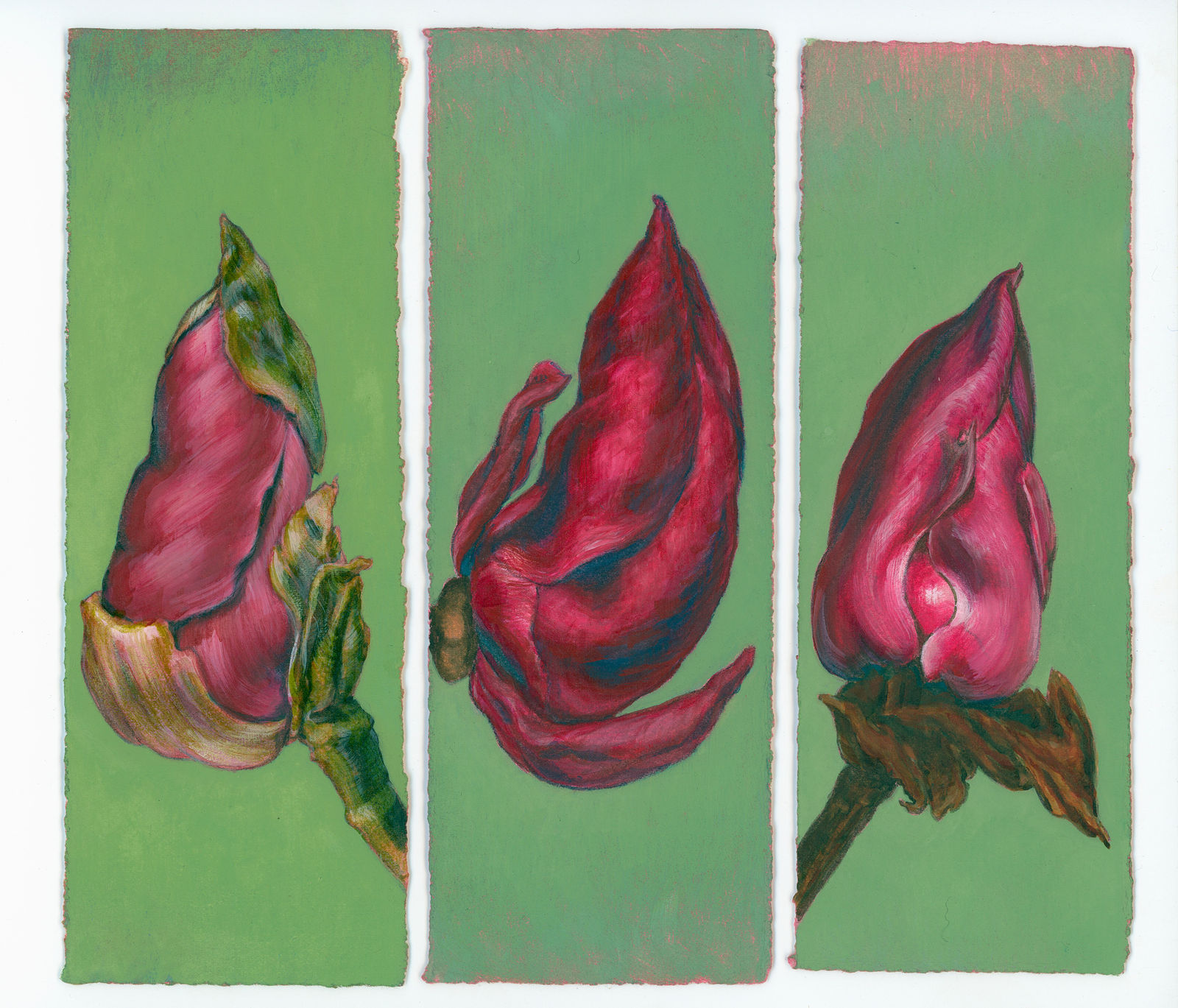 Kim Spooner, Bloom, 2025