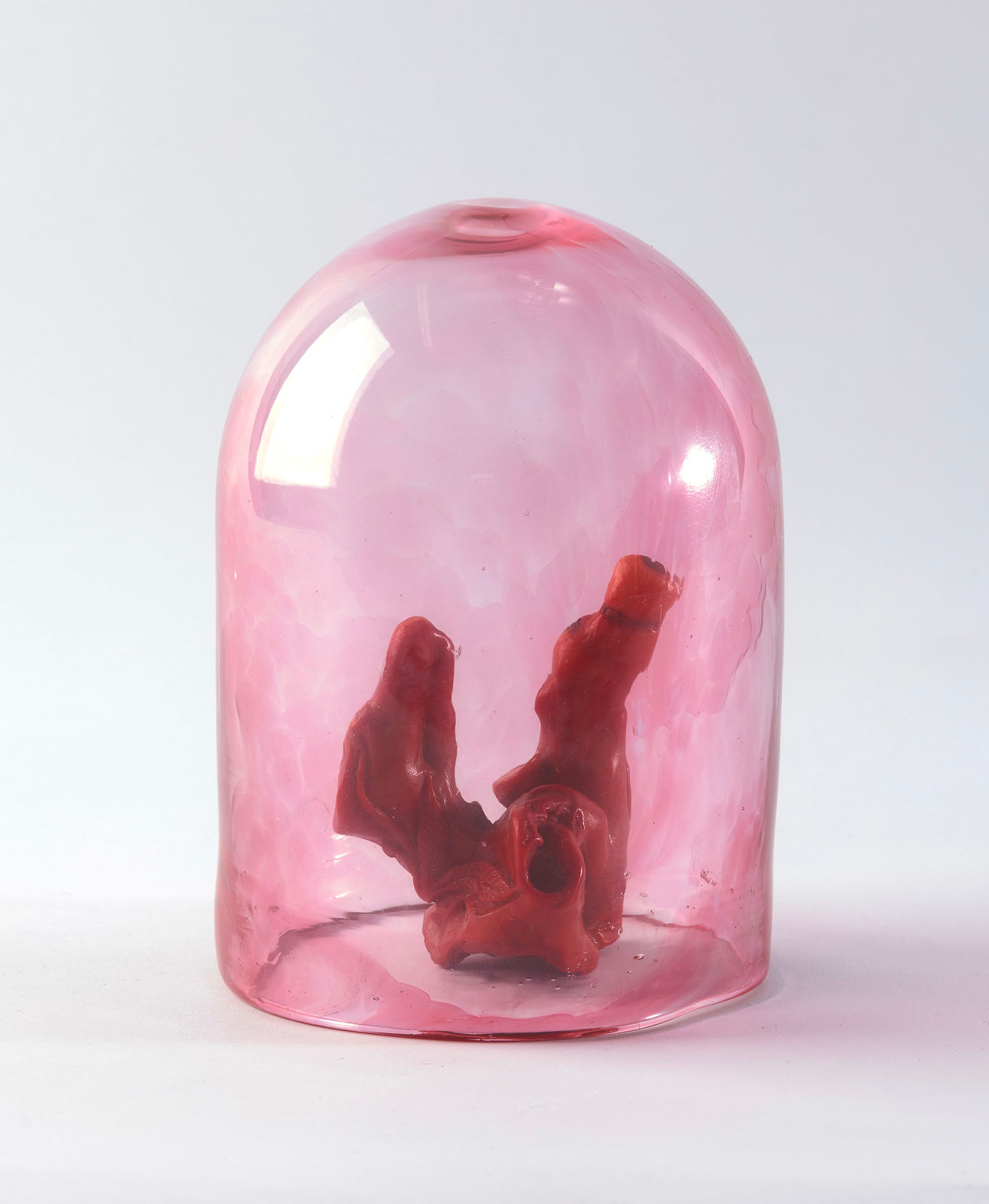 Floria Tosca, Cabinet of Near Misses - Bargaining #1, 2024-25