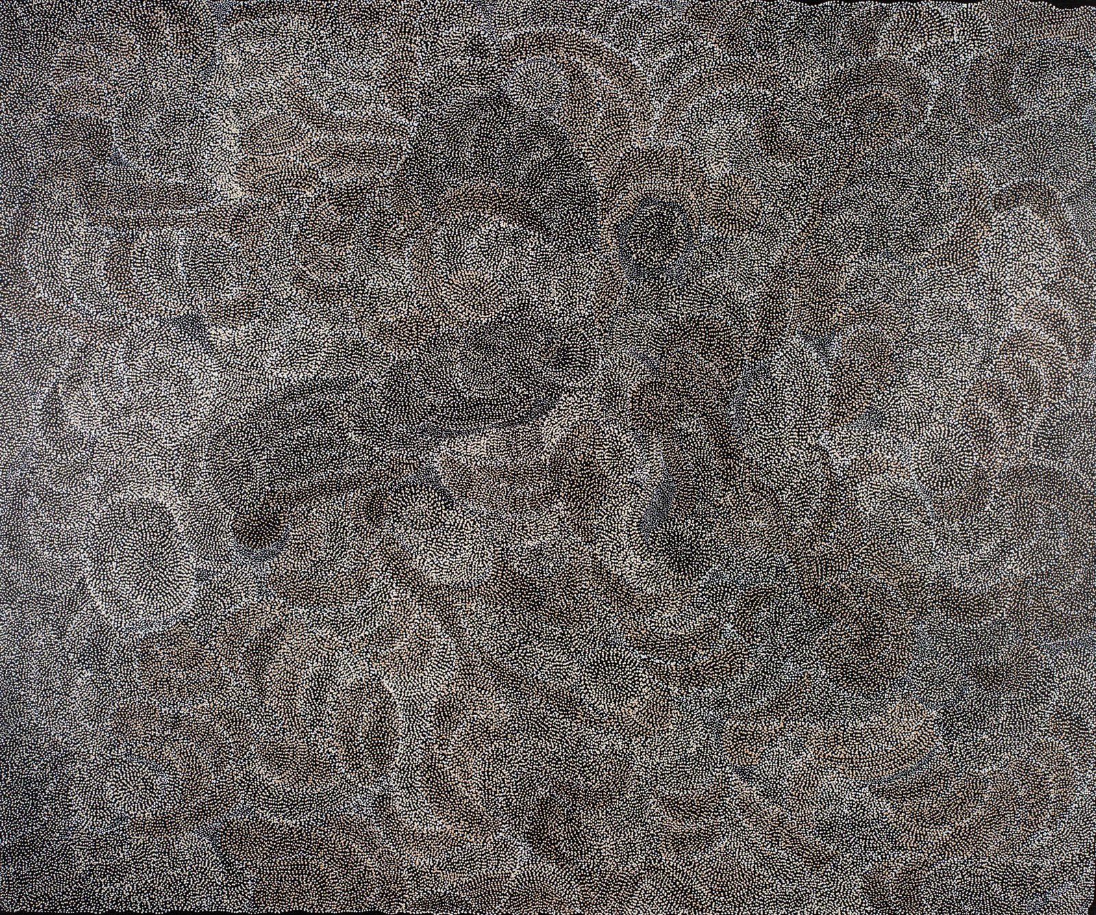 Jorna Newberry, Ngintaka Perentie, (JNKM18822), 2022