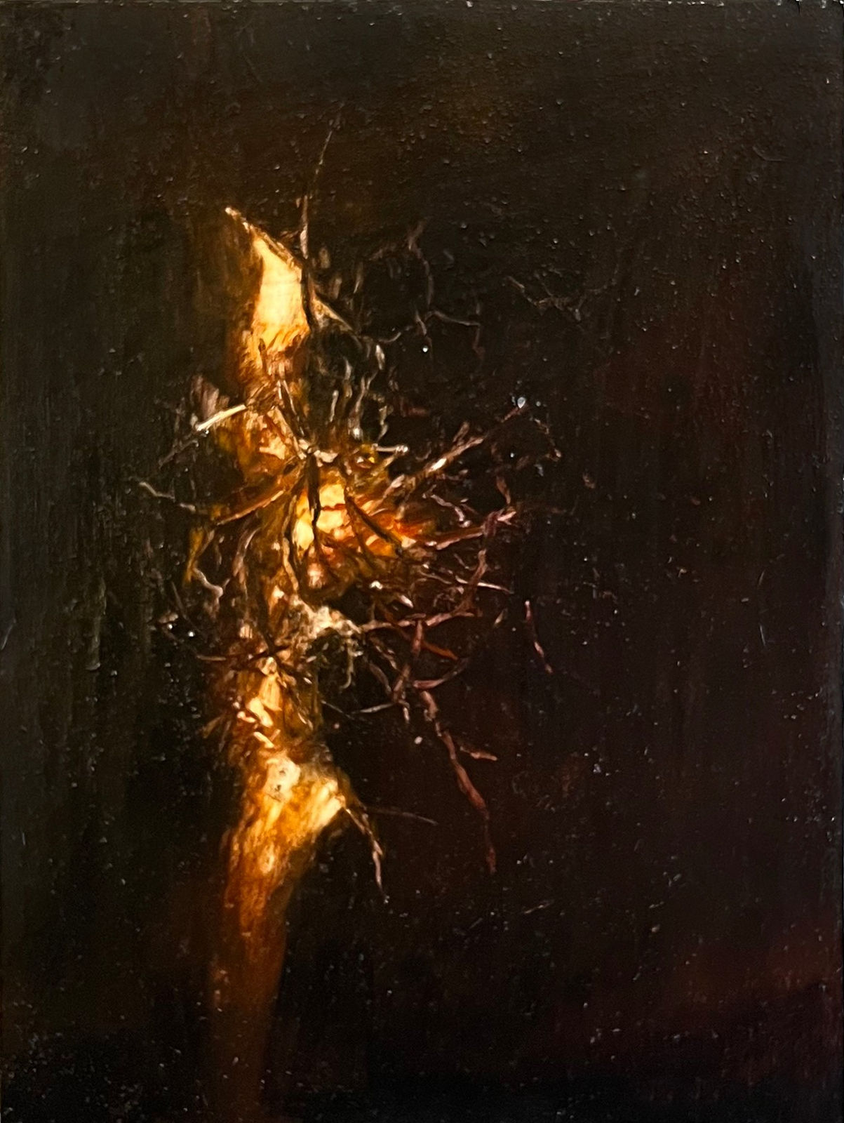 Peter Gardiner, Ember Study, 2023