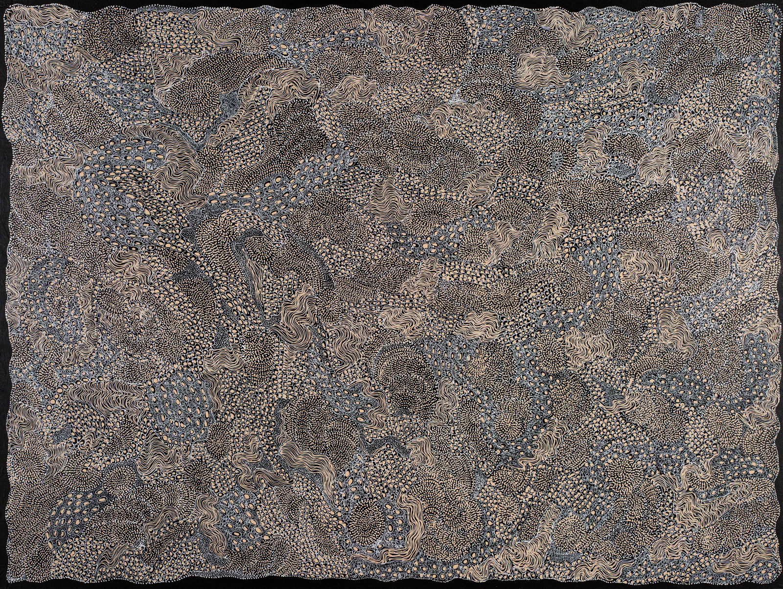 Jorna Newberry, Ngintaka Perentie, (JNKM 7), 2022