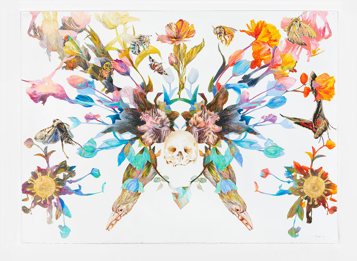 Floria Tosca, Exotica I , 2022