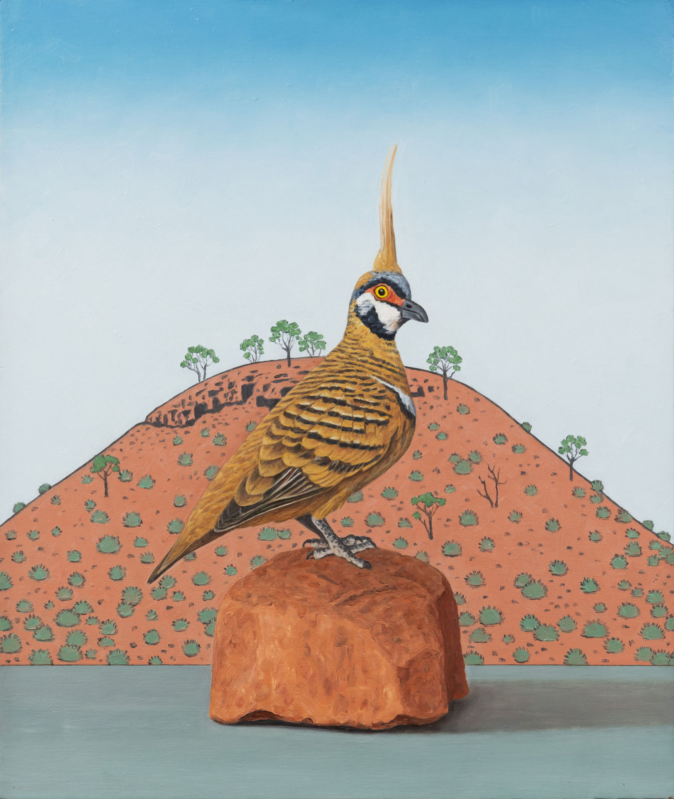 Andrew Sullivan, Spinifex pigeon, 2023