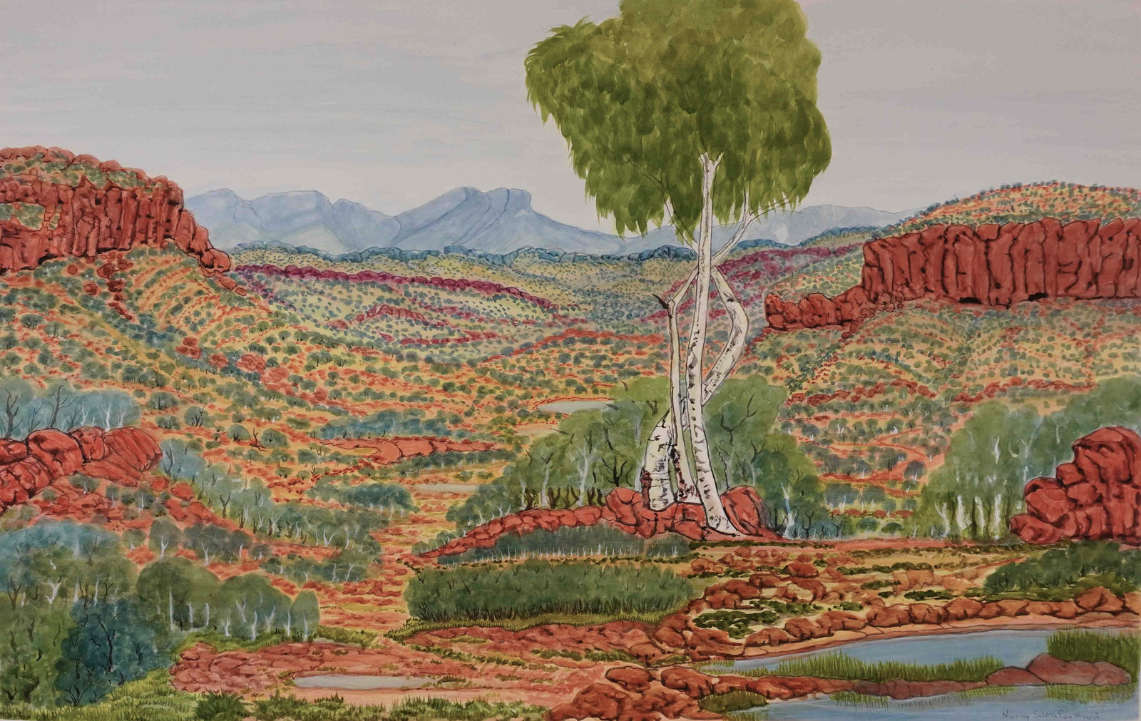 Selma Coulthard, Kings Canyon (242-24), 2024