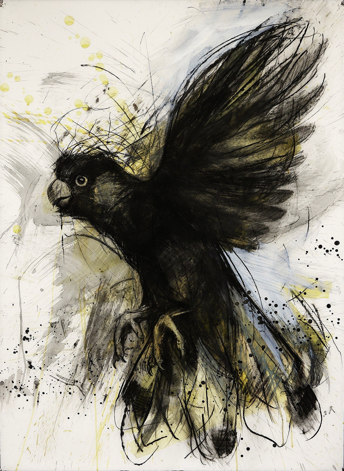 Jody Graham, The Guardian 2, 2024