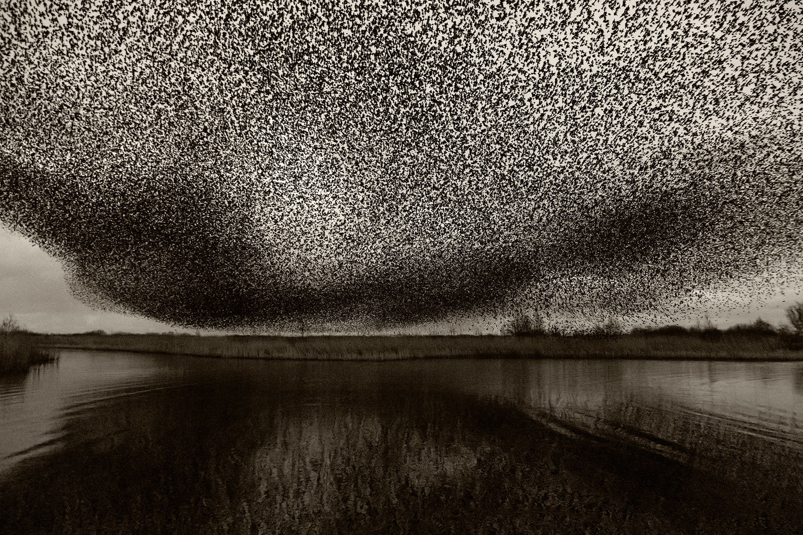 Søren Solkær, Black Sun #57, 2020