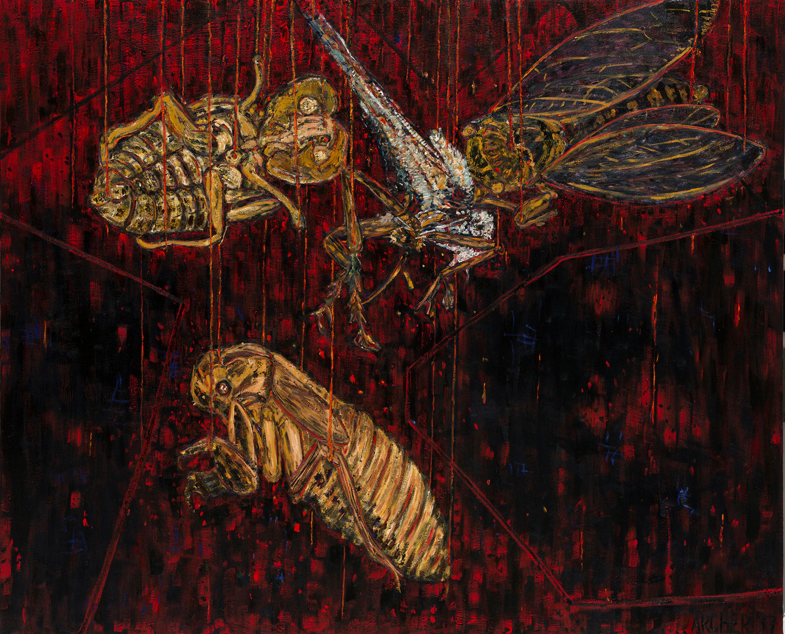 Suzanne Archer, Trill 2017