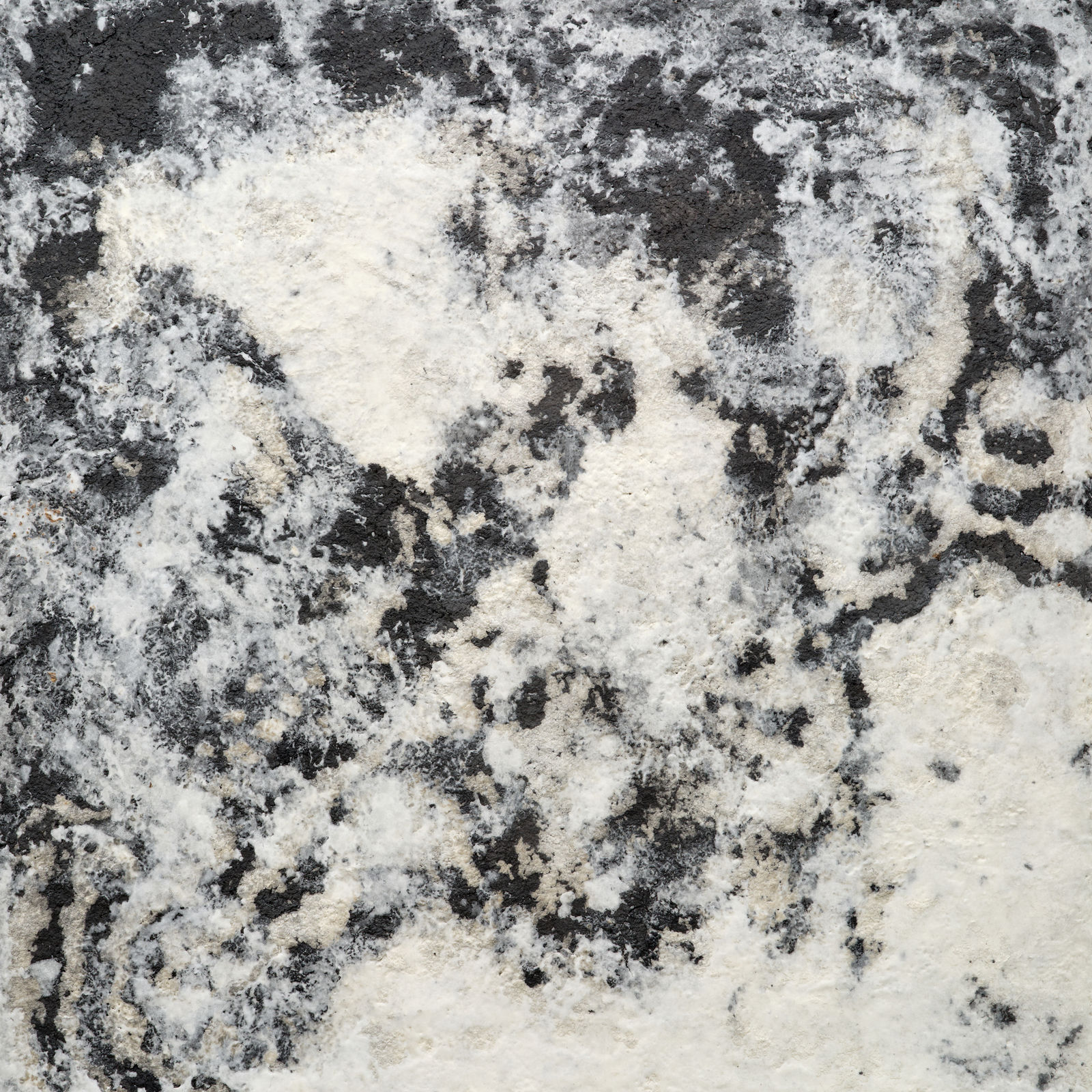 Meng Zhou 周蒙, Adoration of the Earth: Give 2 大章：回2, 2020