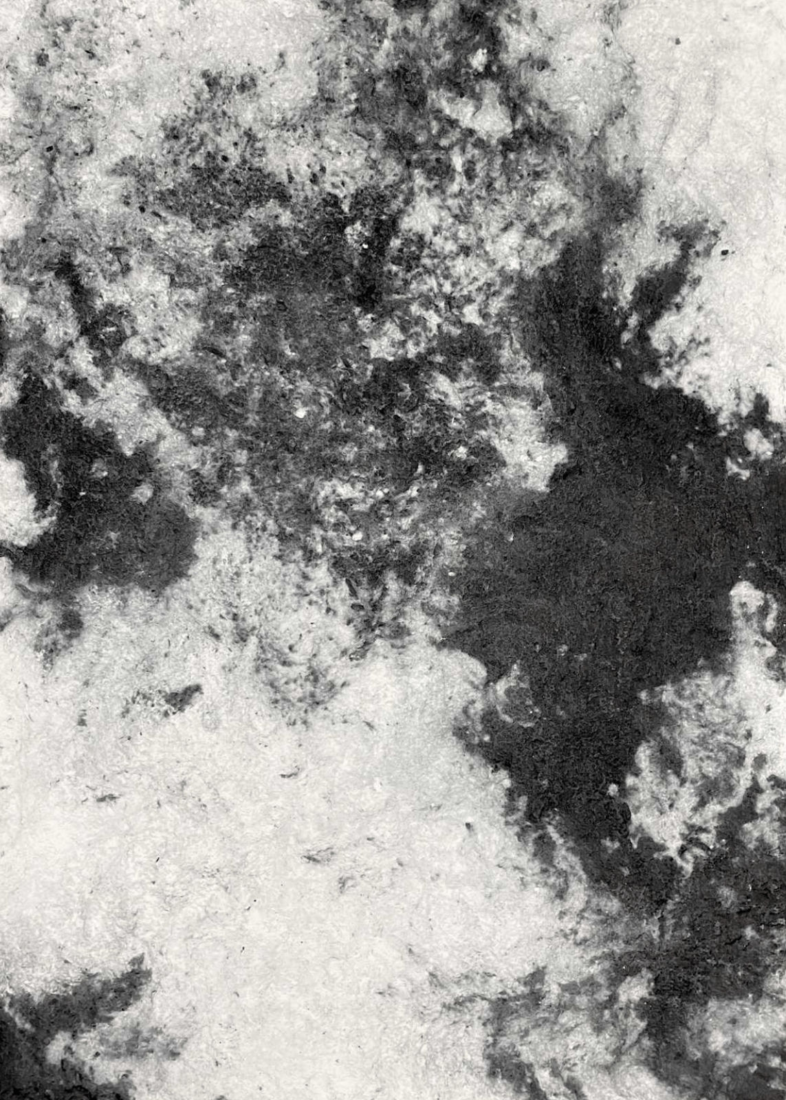 Meng Zhou 周蒙, Adoration of Earth 19 大章 19, 2020