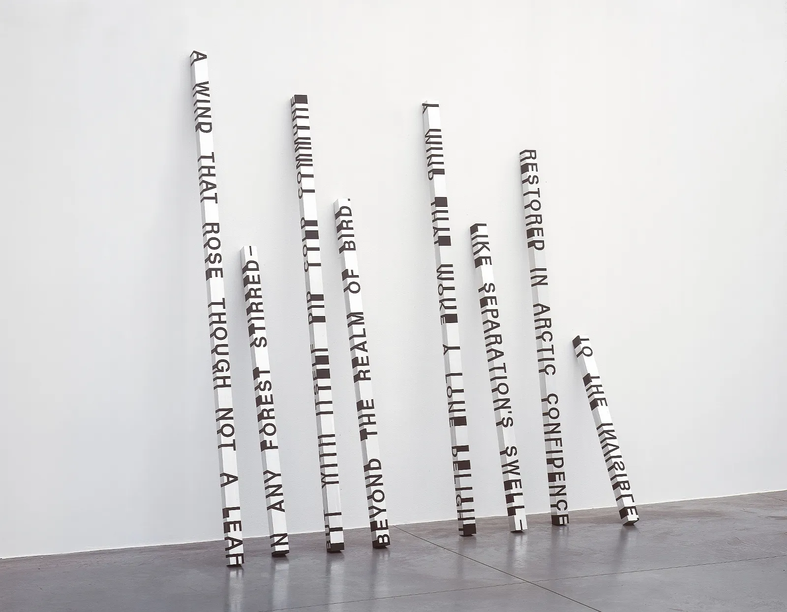 Roni Horn, When Dickinson Shut Her Eyes n° 1259, 1993