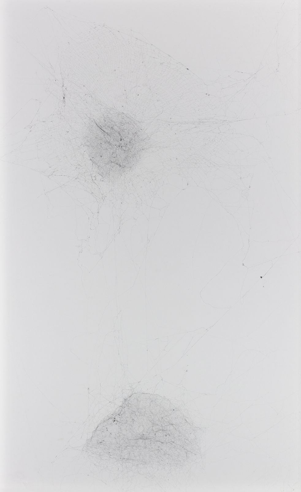 Tomás Saraceno, Solitary semi-social mapping of DDO / 78 by a solo Nephila senegalensis-/ one week and a duet of Cyrtophora citricola-two weeks, 2017
