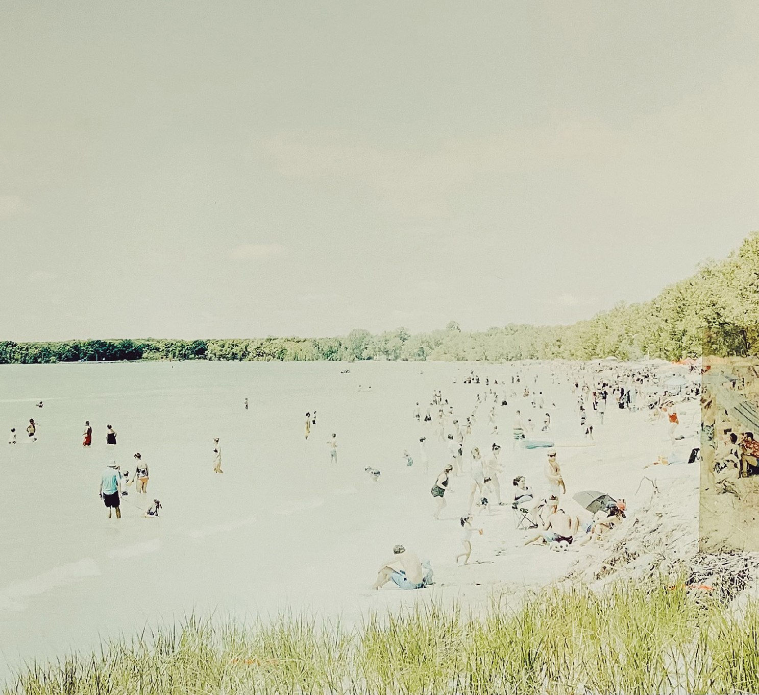 Christine Flynn, Sandbanks July, 2022