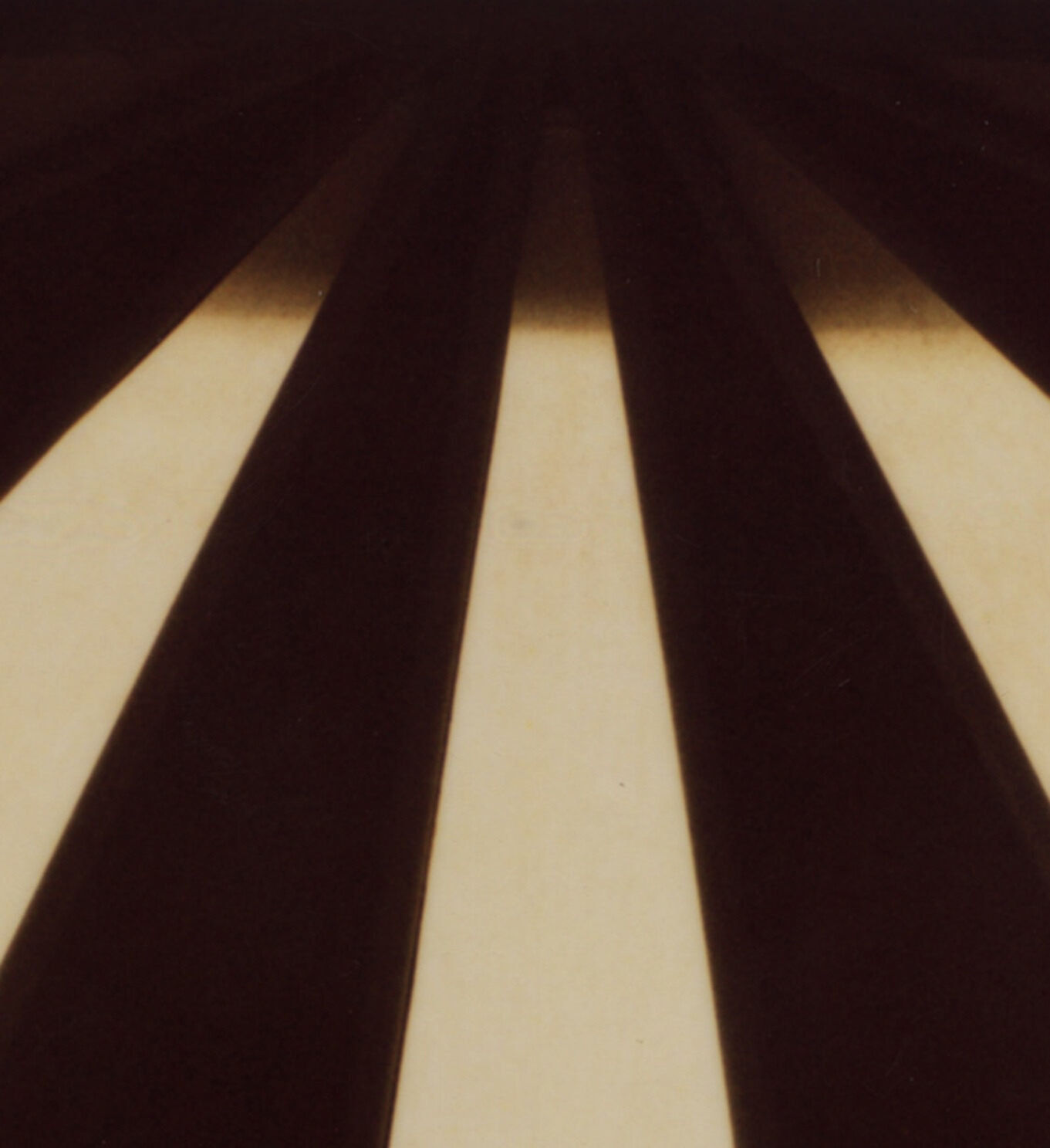 Patrick Sansone, 100 Polaroids, #85, 2009