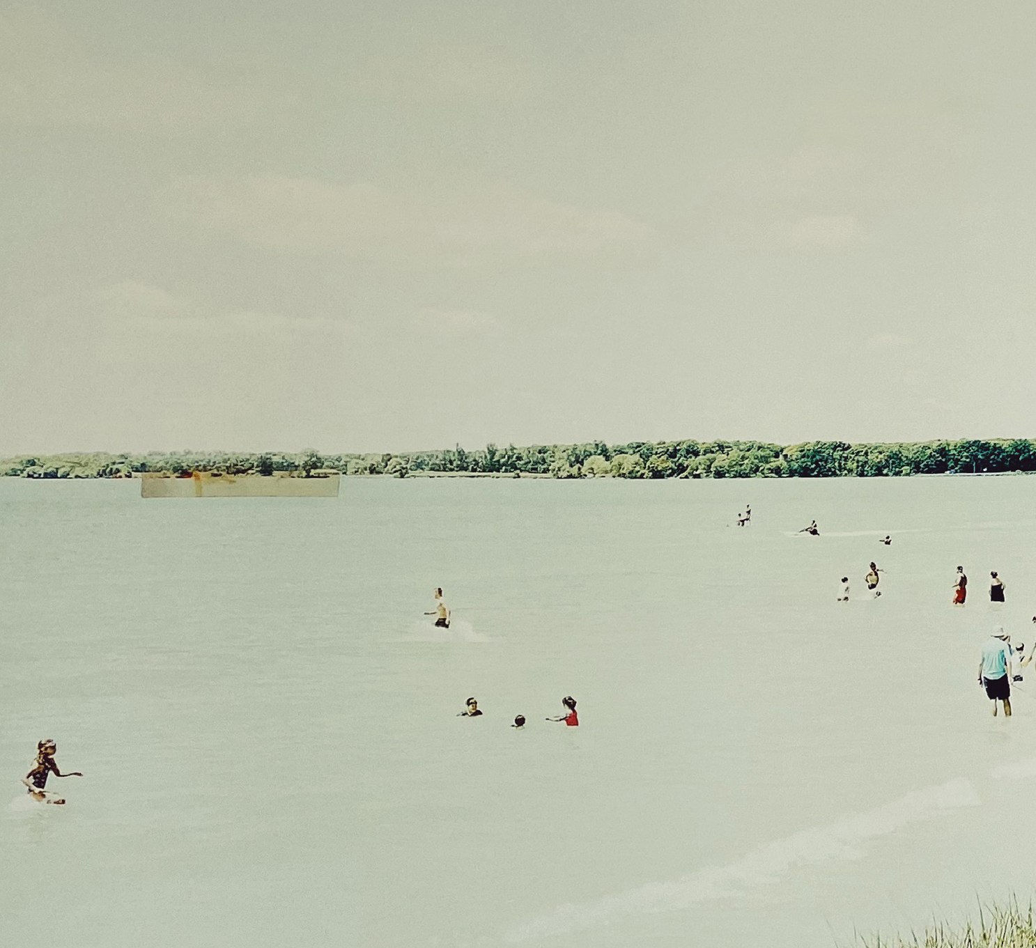 Christine Flynn, Sandbanks July, 2022