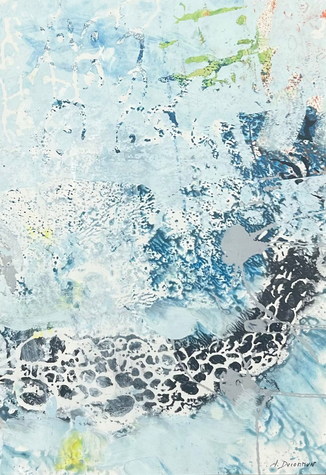 Amelie Ducommun, #15, 2022-2024