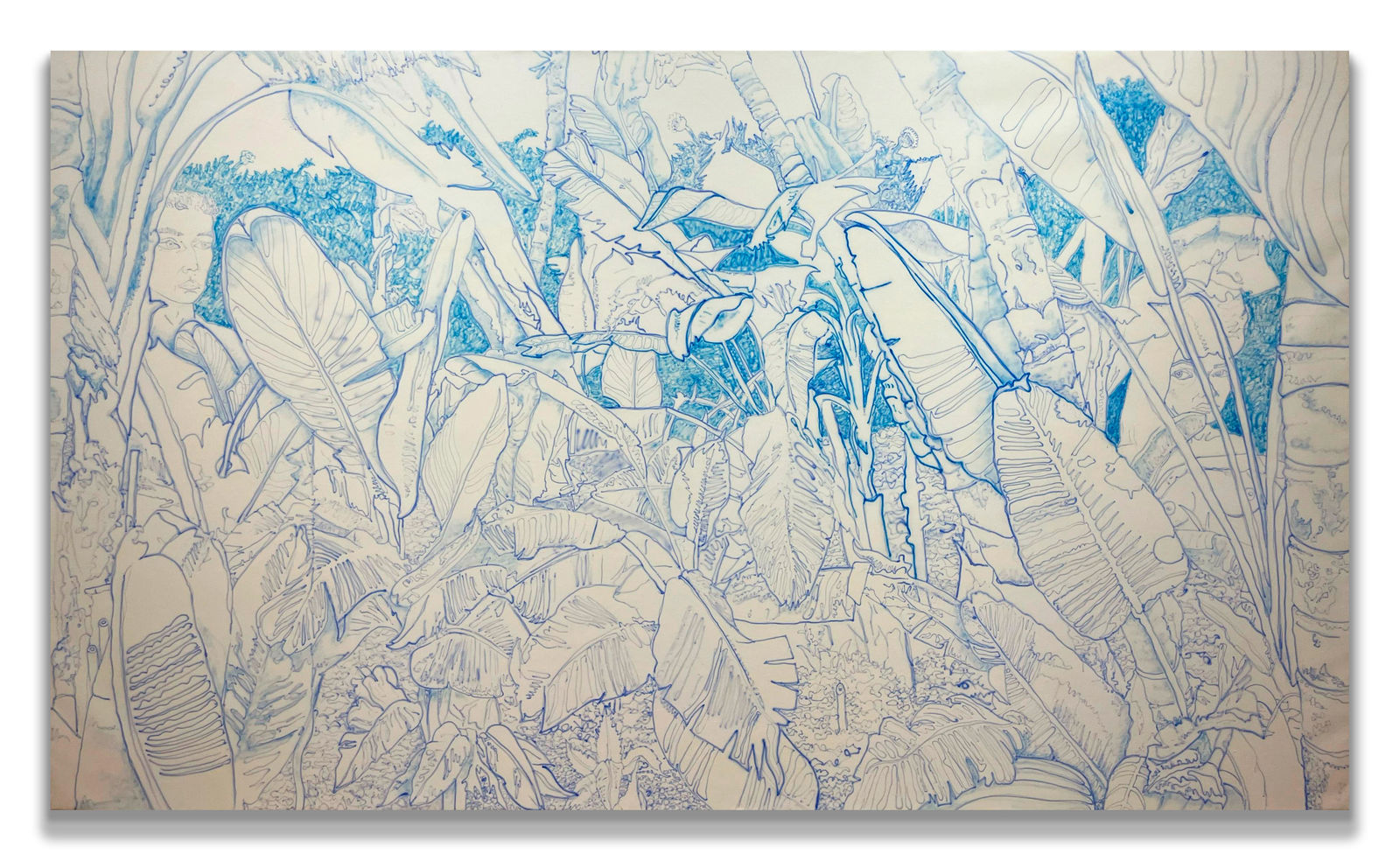 ZMD, Paraiso II, 2024