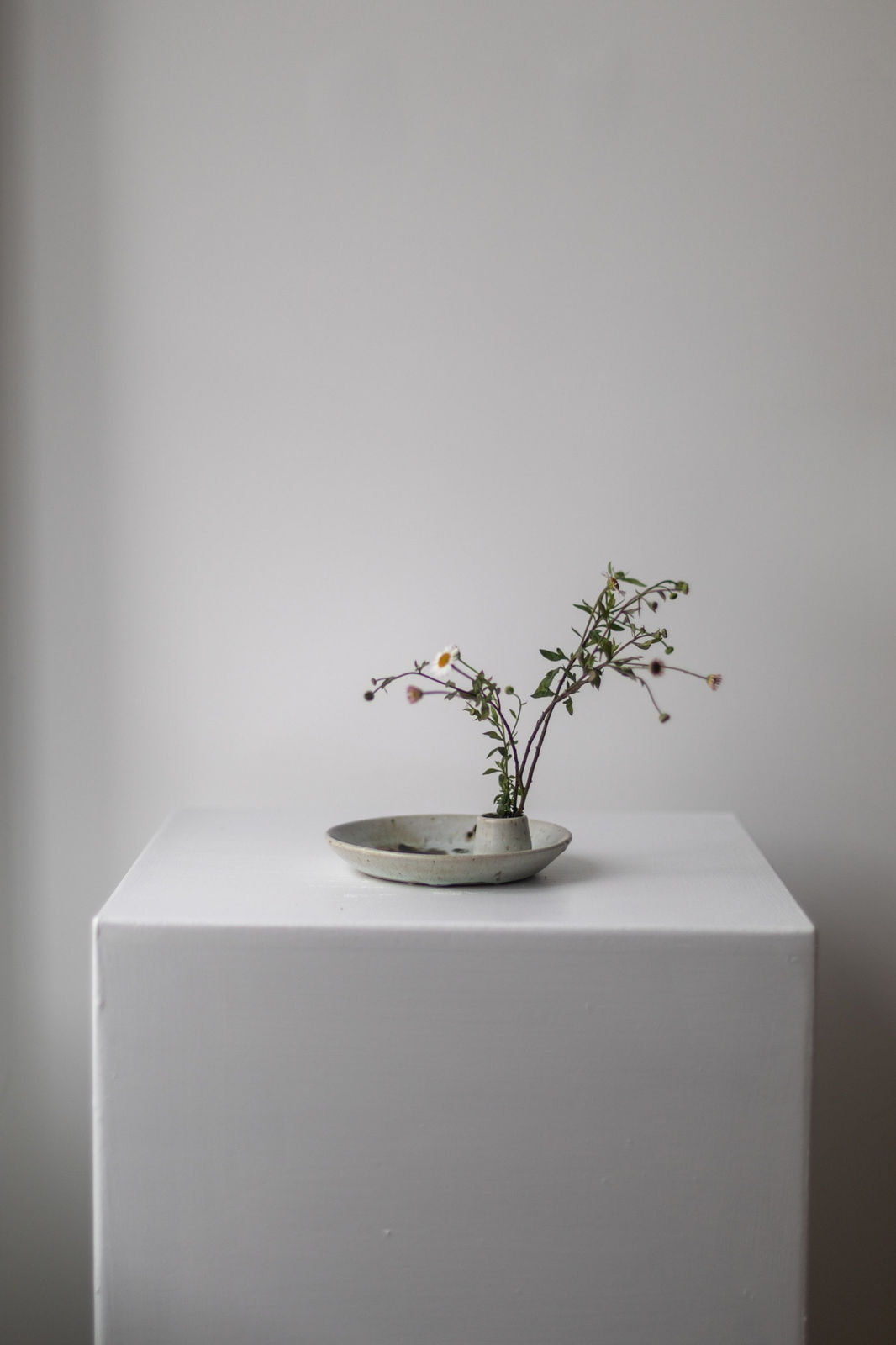 Chloé Rosetta Bell, Wild Flower and Candle Vessel with Steel Lid IV