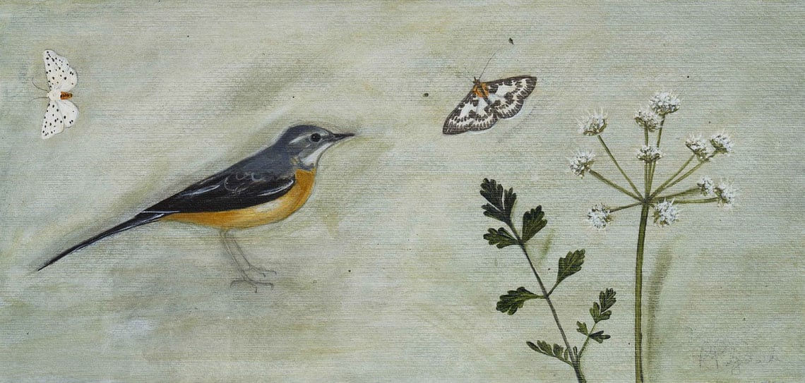 Rebecca Polyblank, Grey Wagtail, 2025