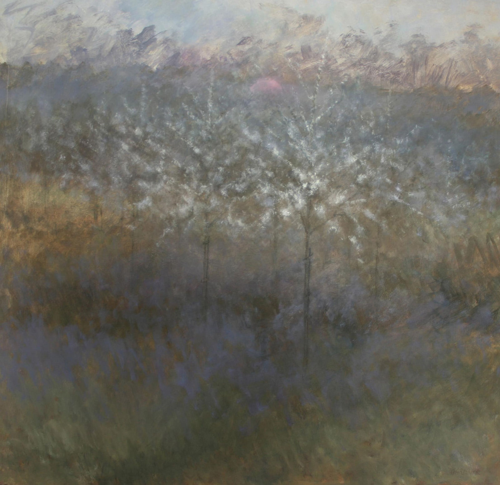 Judith Gardner, Blossoms at Sunset