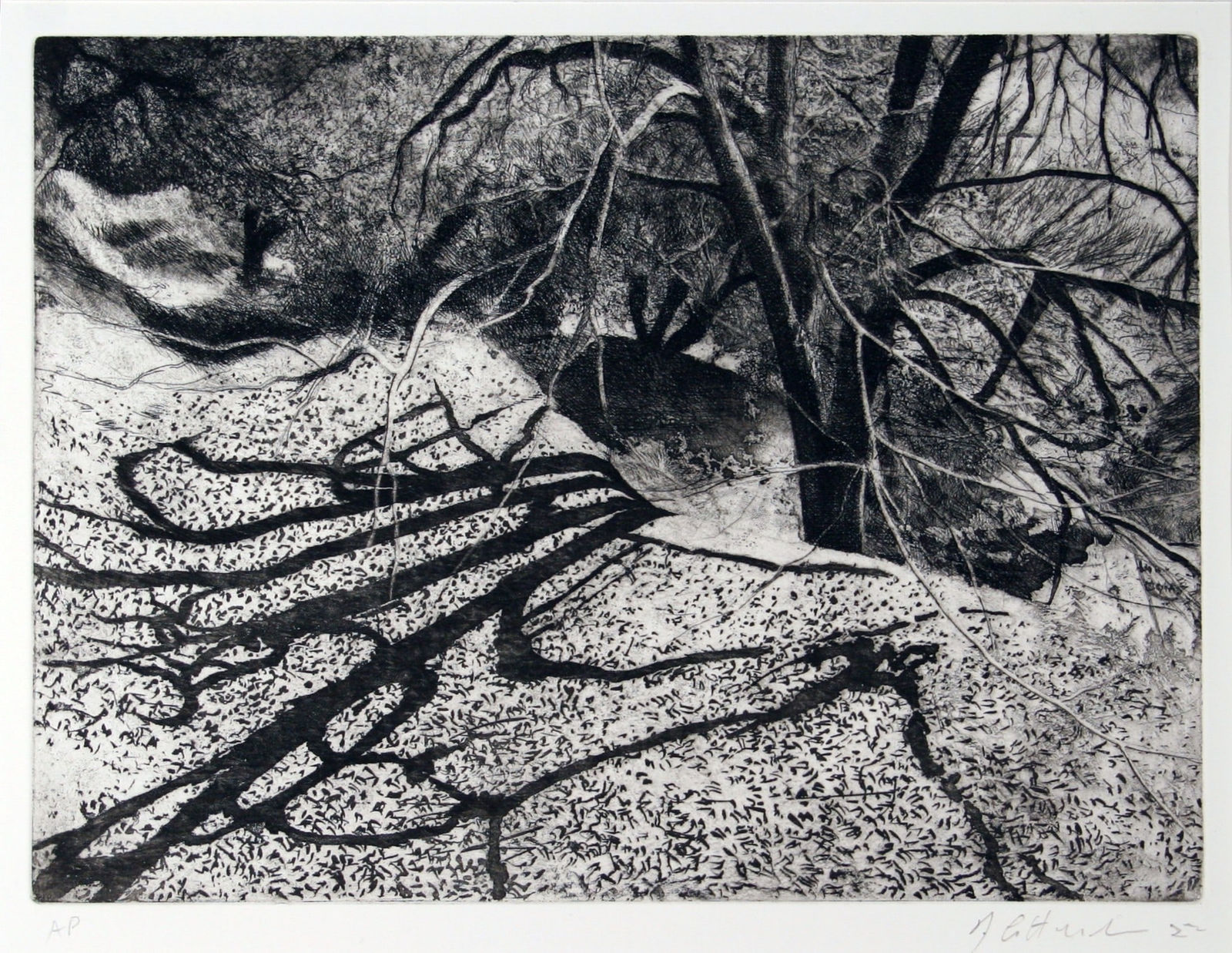 James Crittenden, Under the Chestnut in Winter, Spain