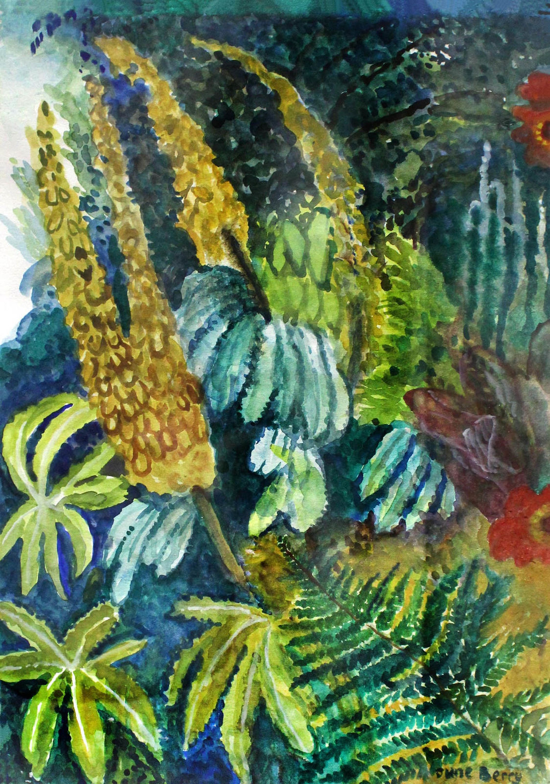 June Berry, Wild Garden